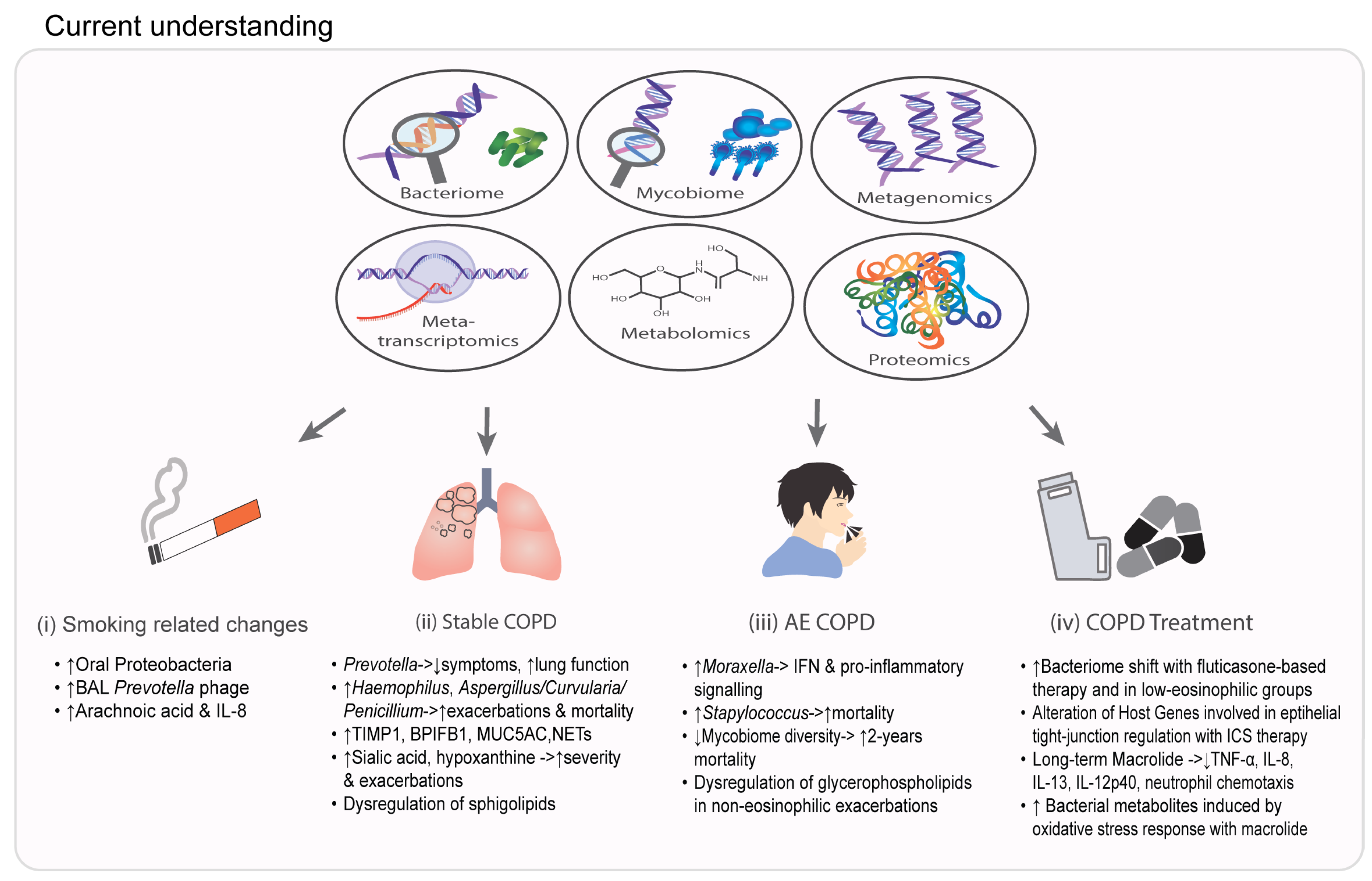 Ijms 24 02955 g001 Ijms 24 02955 g001