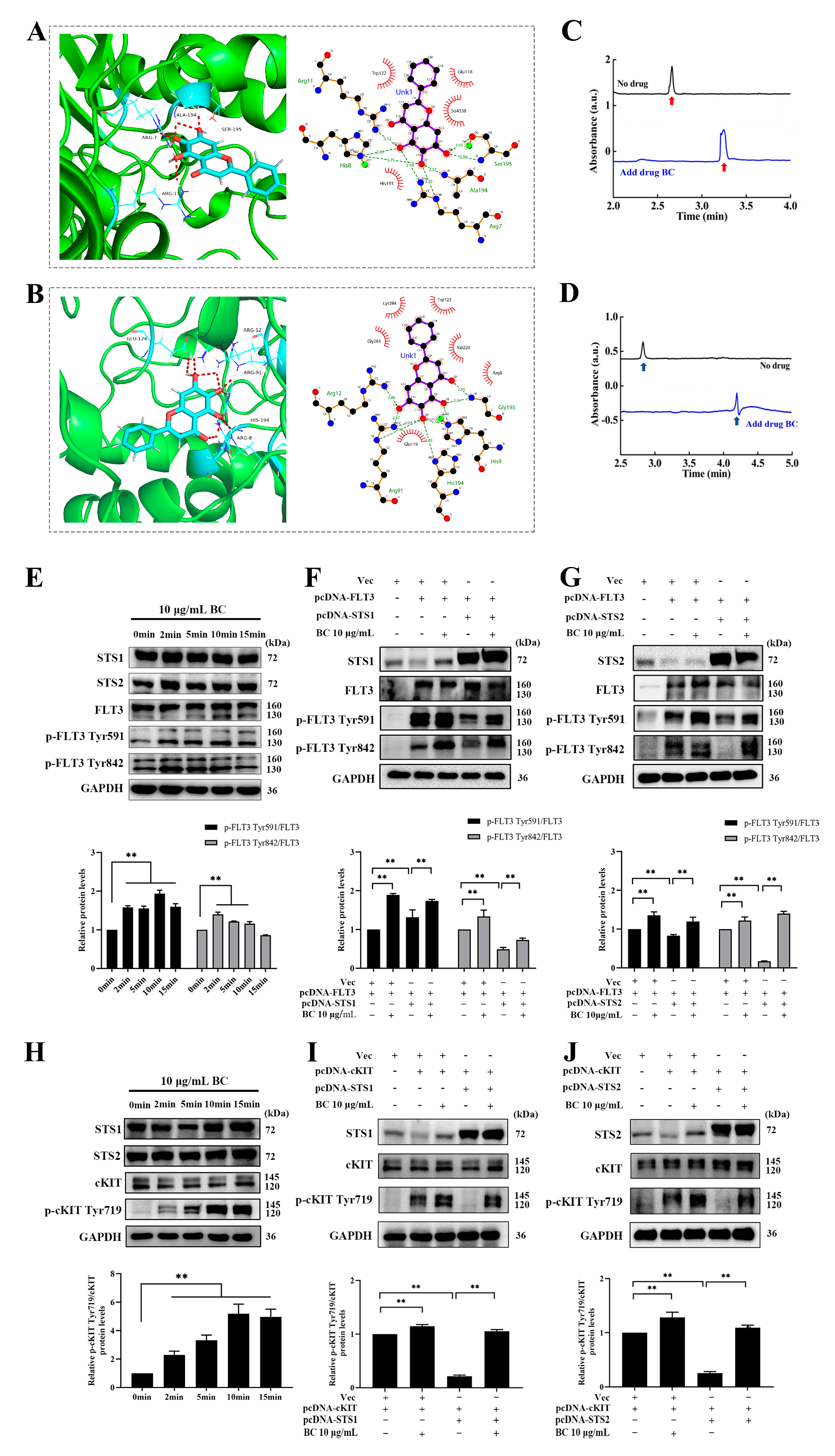 Ijms 24 02987 g002 Ijms 24 02987 g002