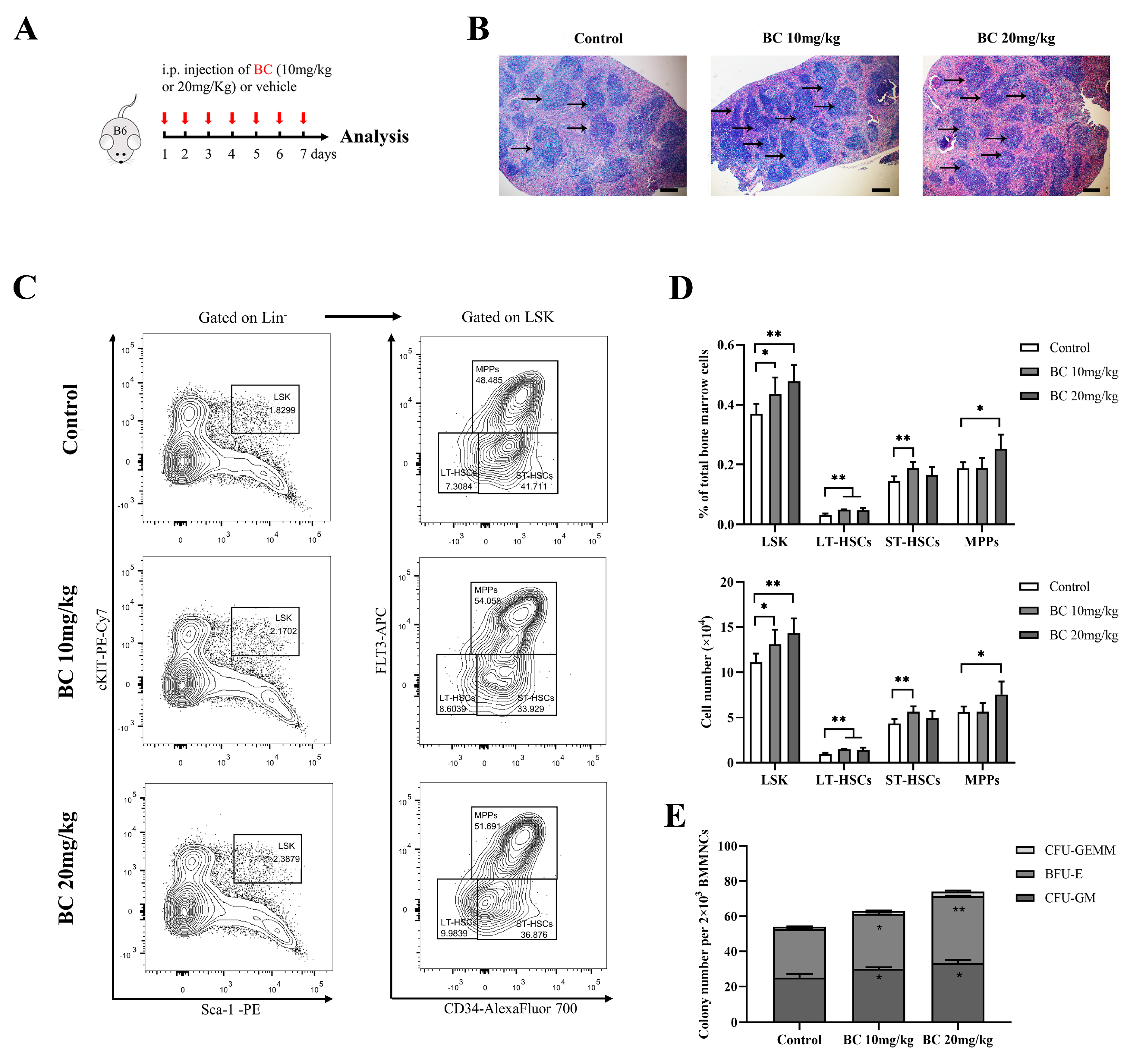 Ijms 24 02987 g005 Ijms 24 02987 g005
