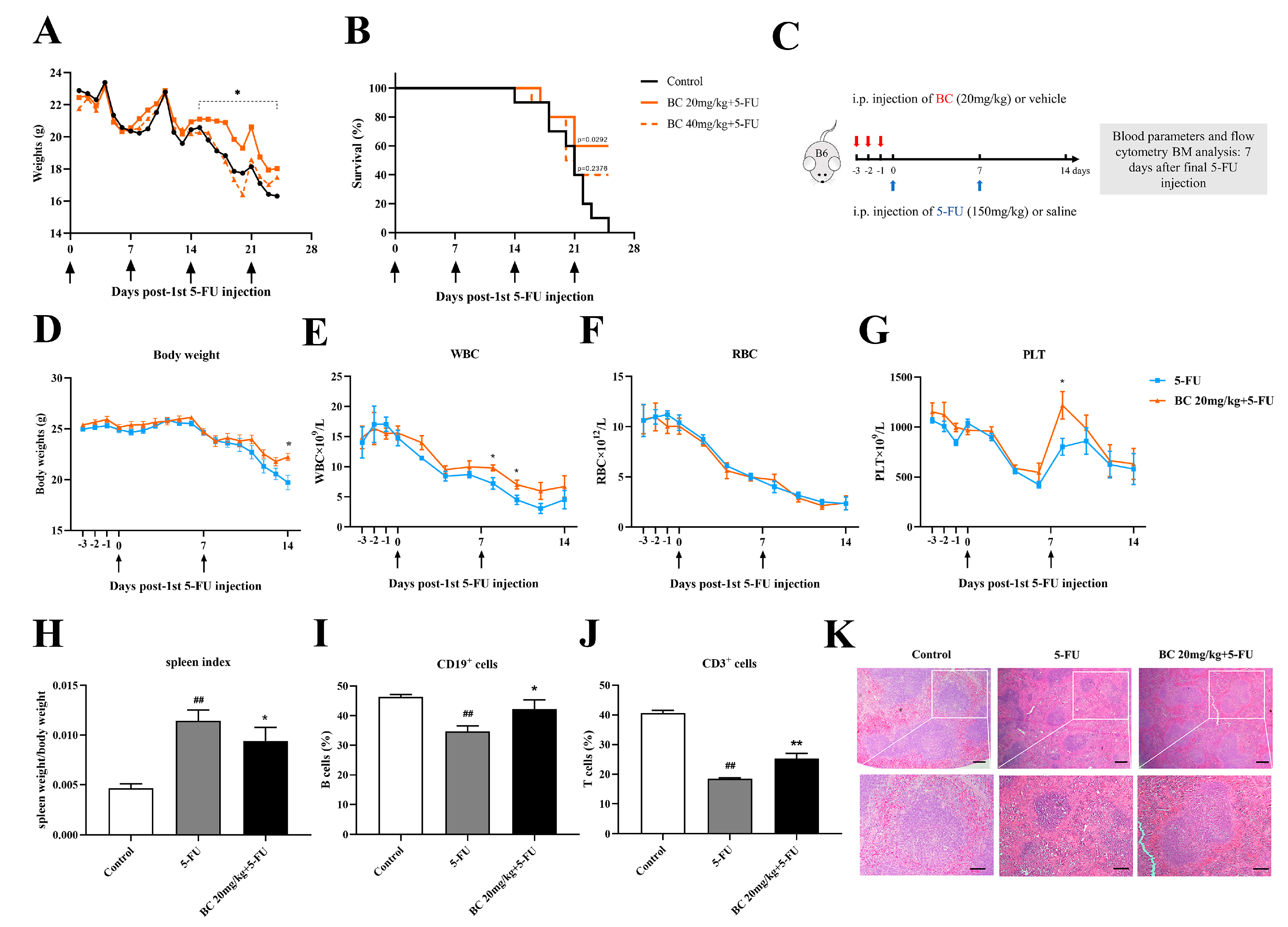 Ijms 24 02987 g006 Ijms 24 02987 g006