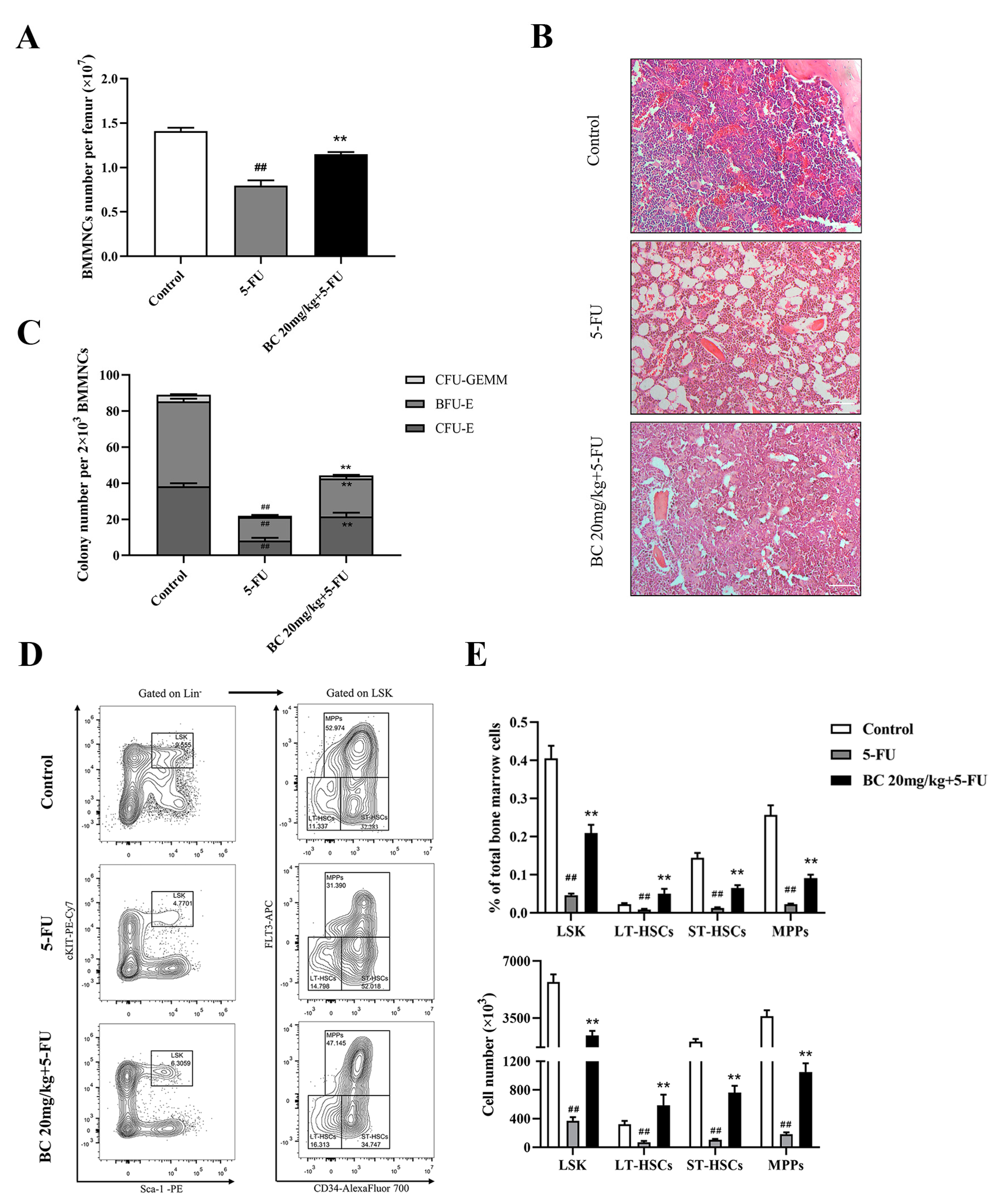 Ijms 24 02987 g007 Ijms 24 02987 g007