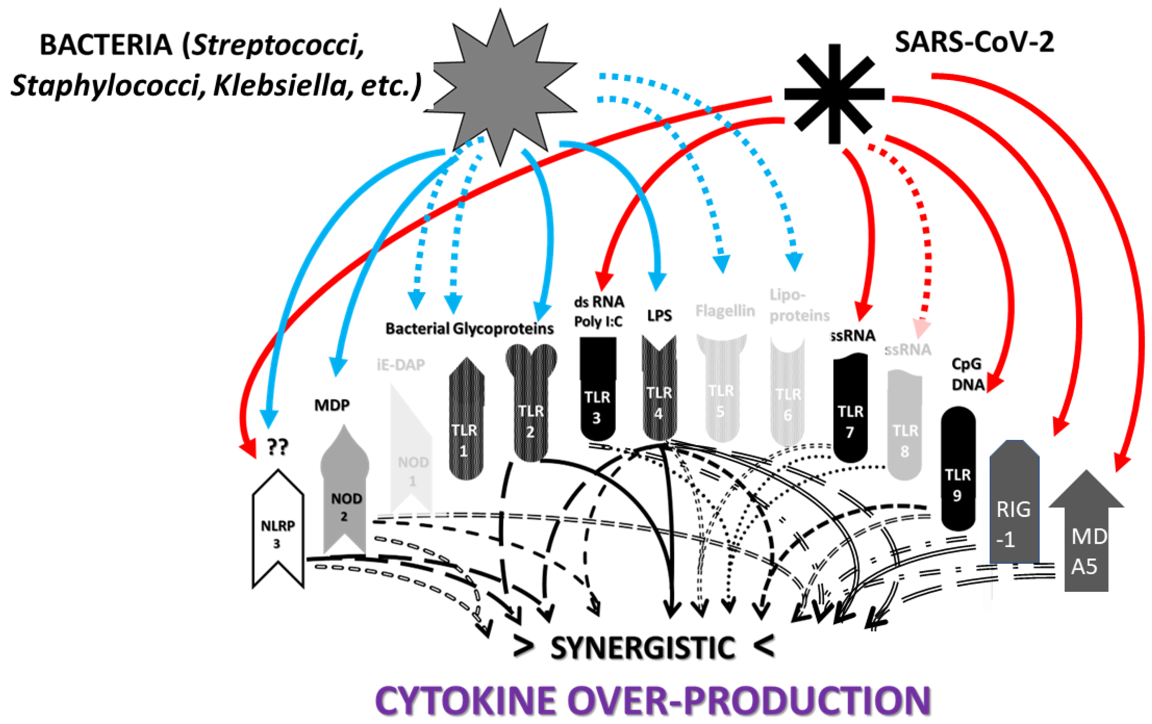 Ijms 24 03001 g011 Ijms 24 03001 g011