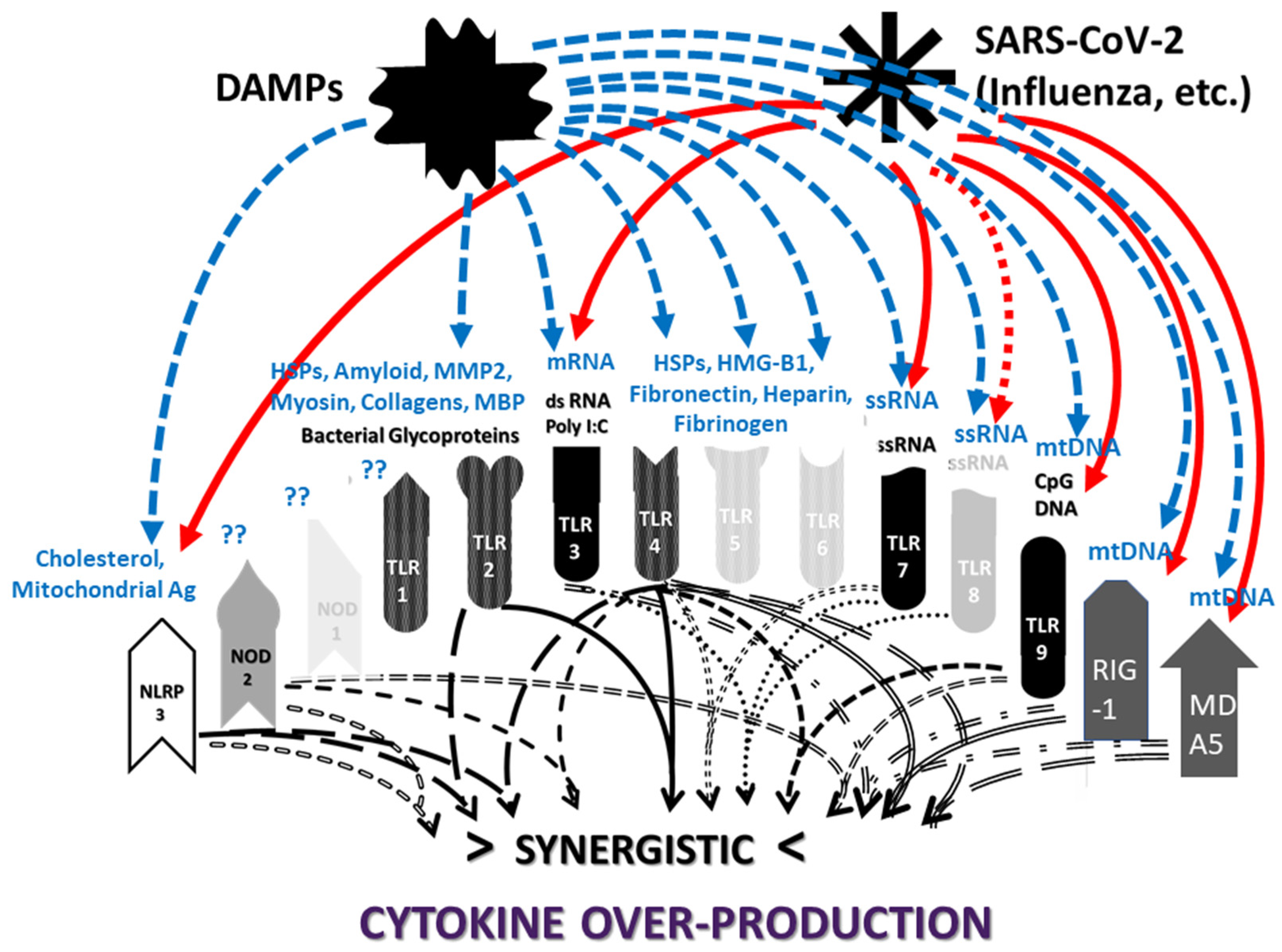Ijms 24 03001 g012 Ijms 24 03001 g012