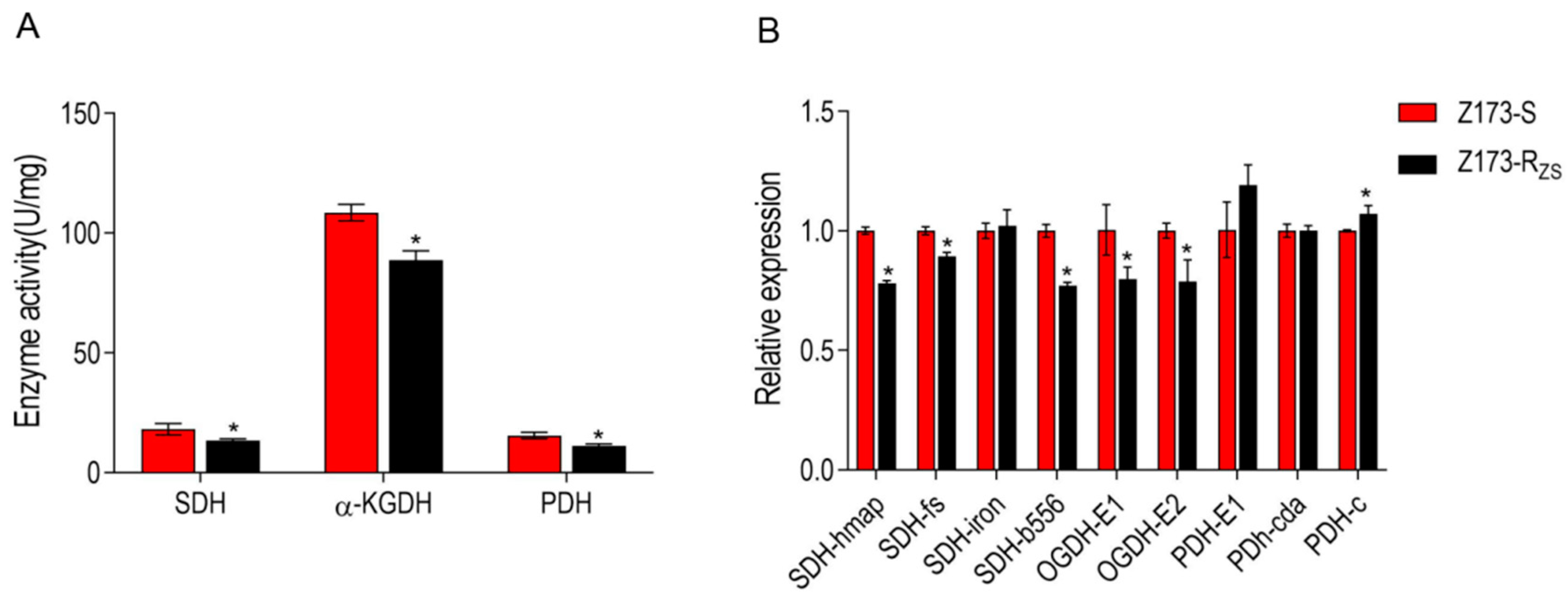Ijms 24 03004 g004 550