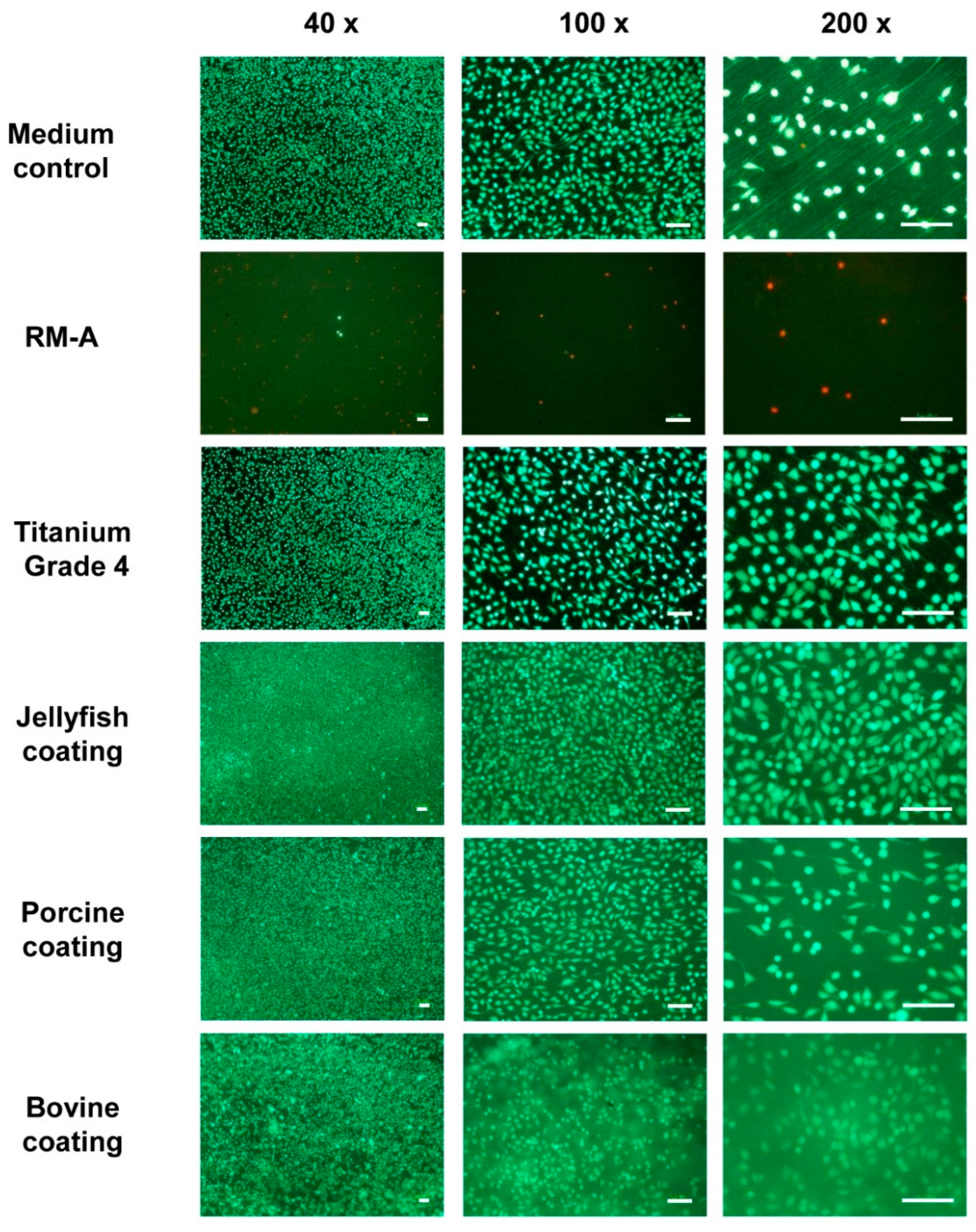 Ijms 24 03007 g002 Ijms 24 03007 g002