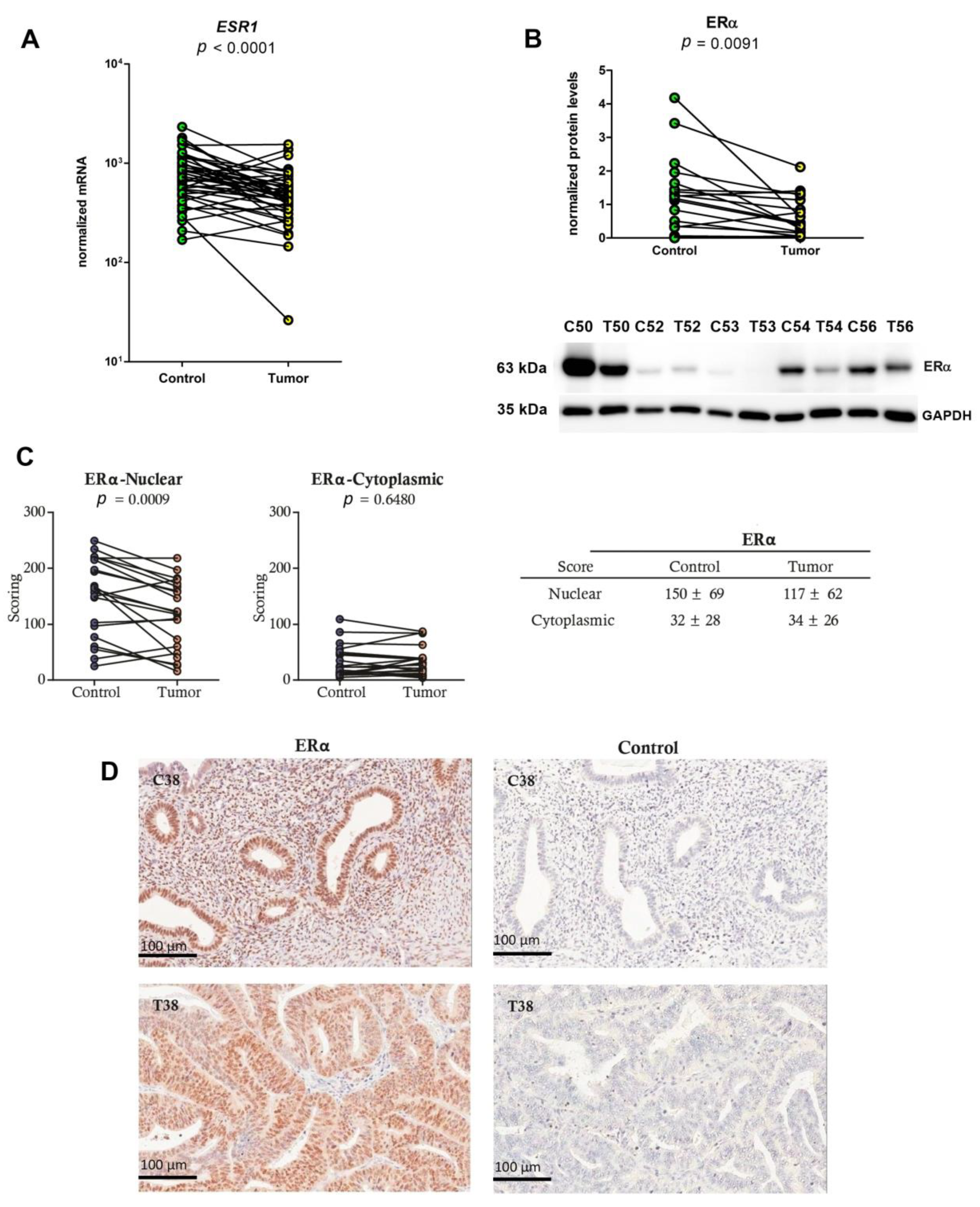 Ijms 24 03009 g001 Ijms 24 03009 g001