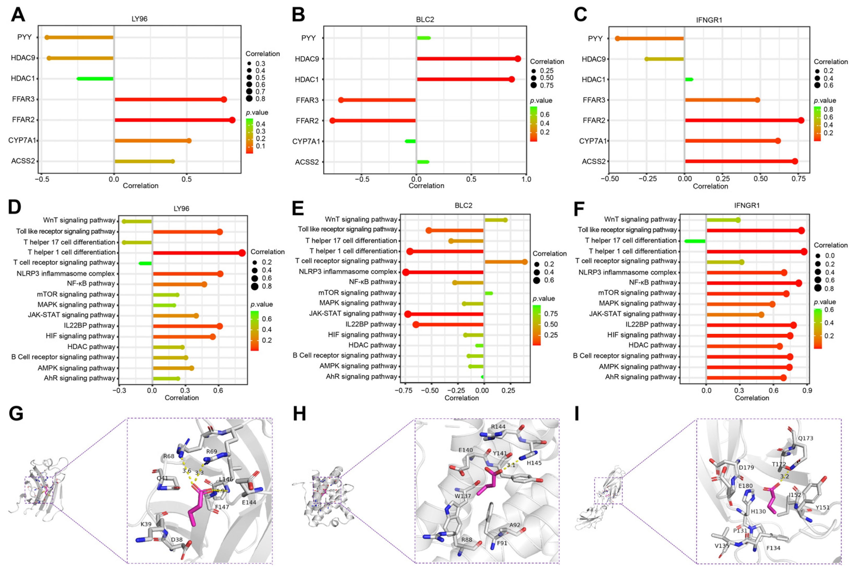 Ijms 24 03033 g008 Ijms 24 03033 g008