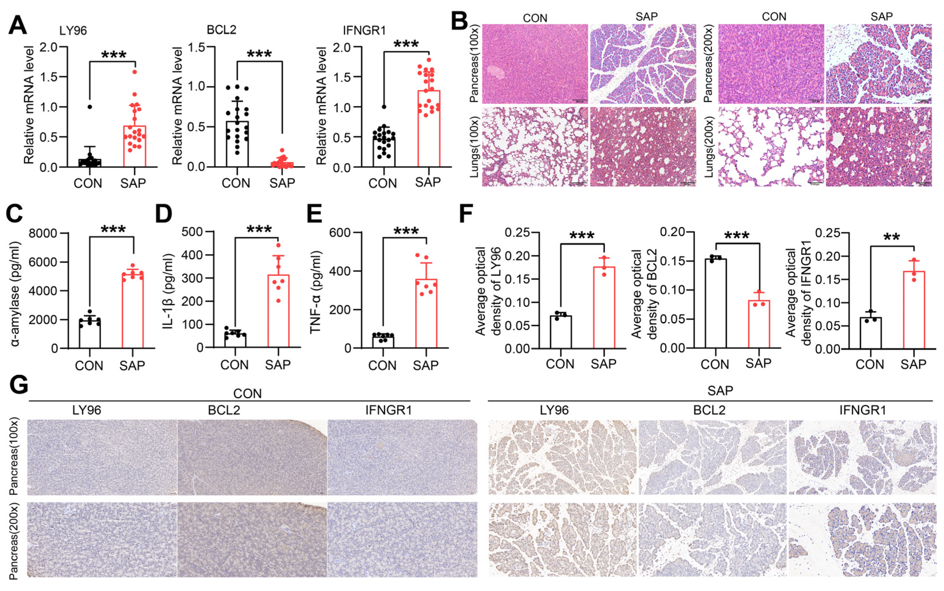 Ijms 24 03033 g009 Ijms 24 03033 g009