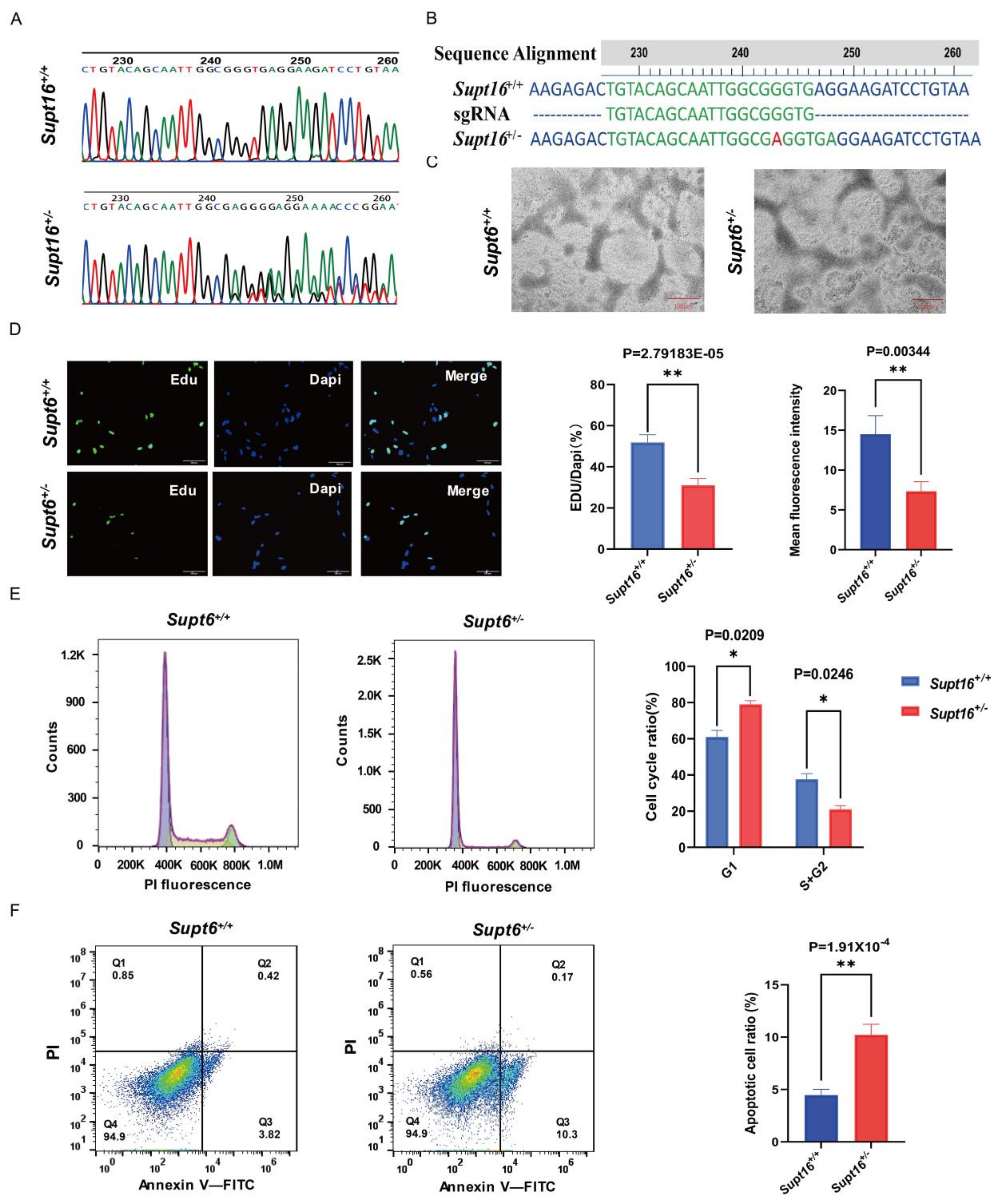 Ijms 24 03035 g001 Ijms 24 03035 g001