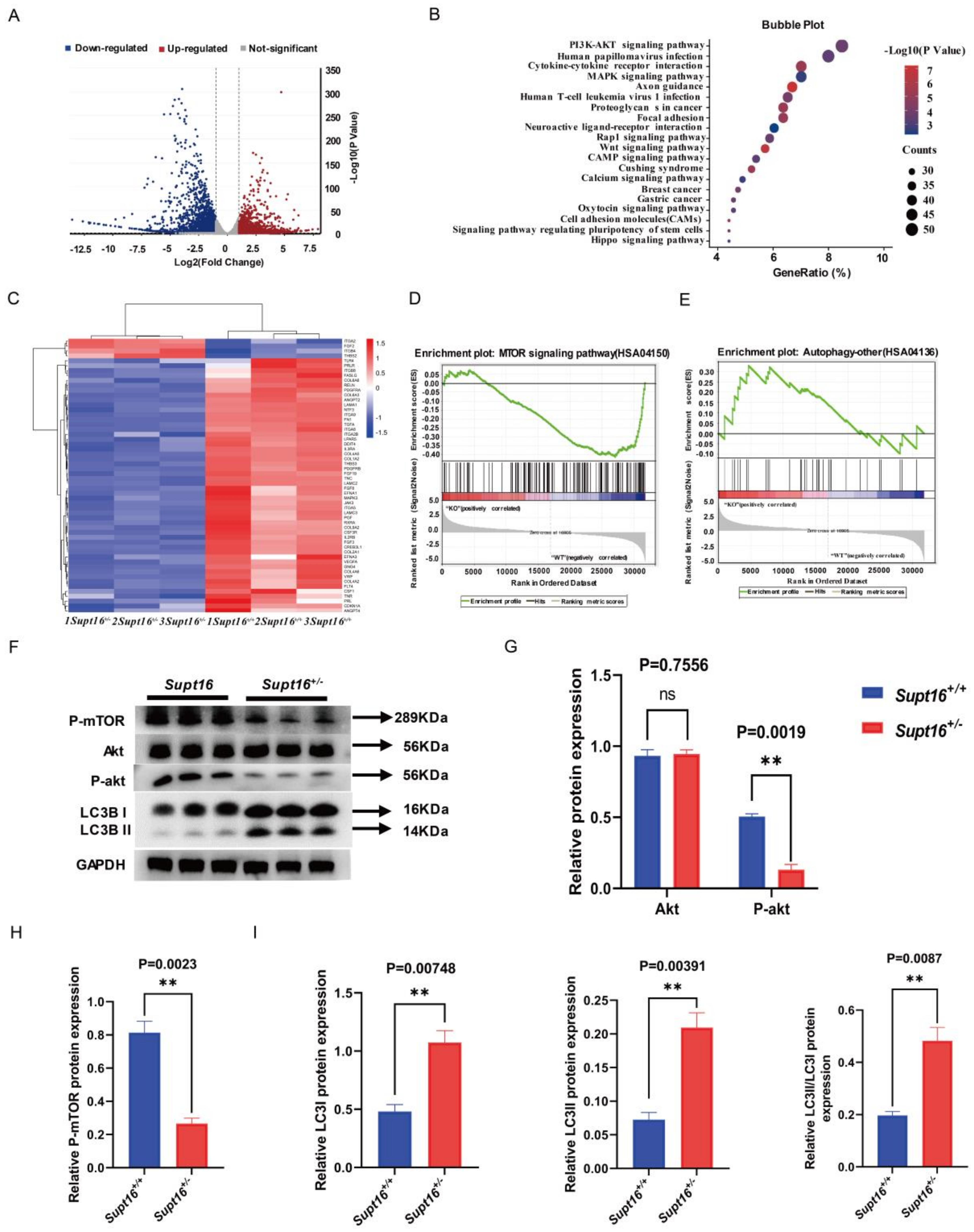 Ijms 24 03035 g002 Ijms 24 03035 g002