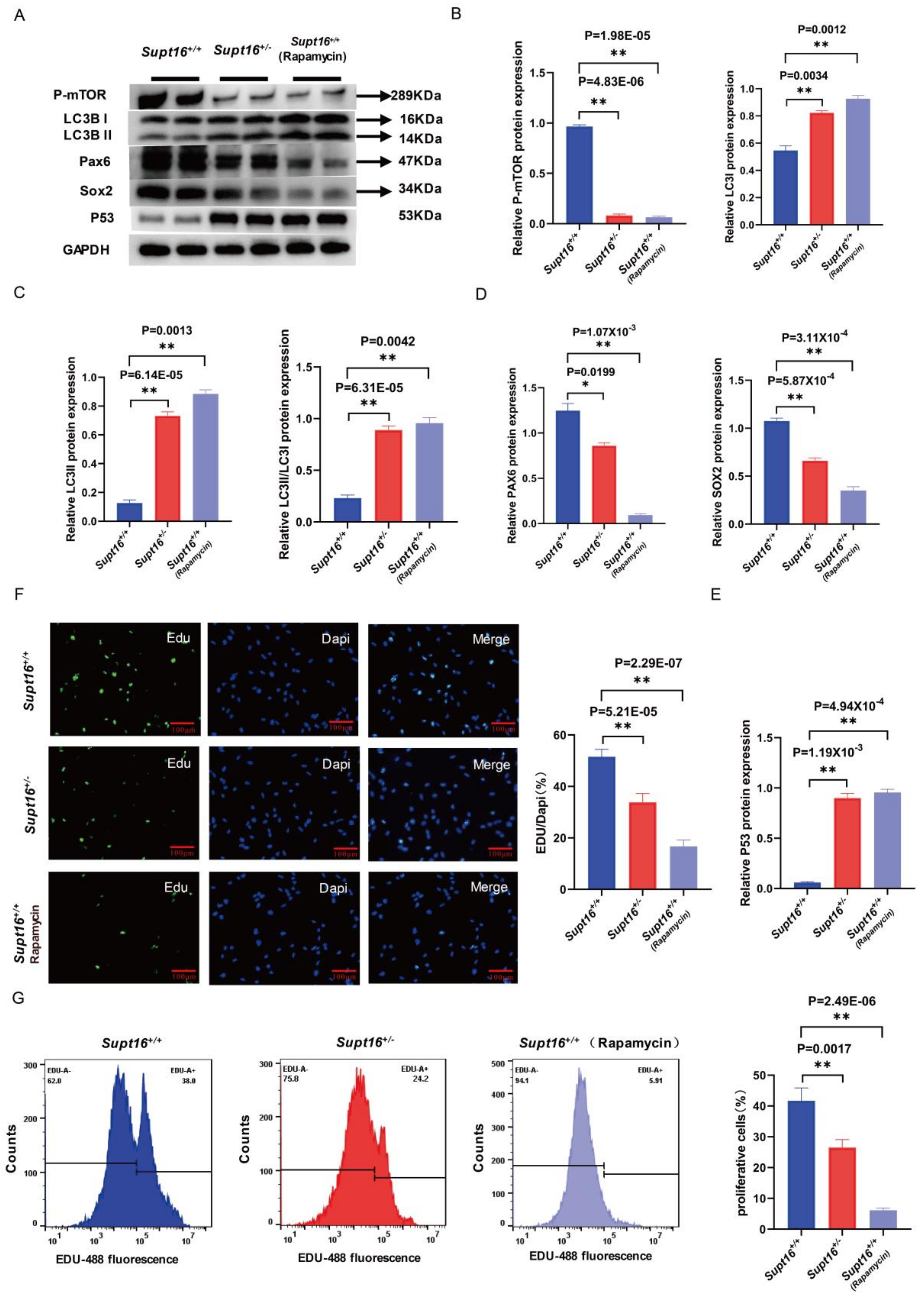 Ijms 24 03035 g003 Ijms 24 03035 g003