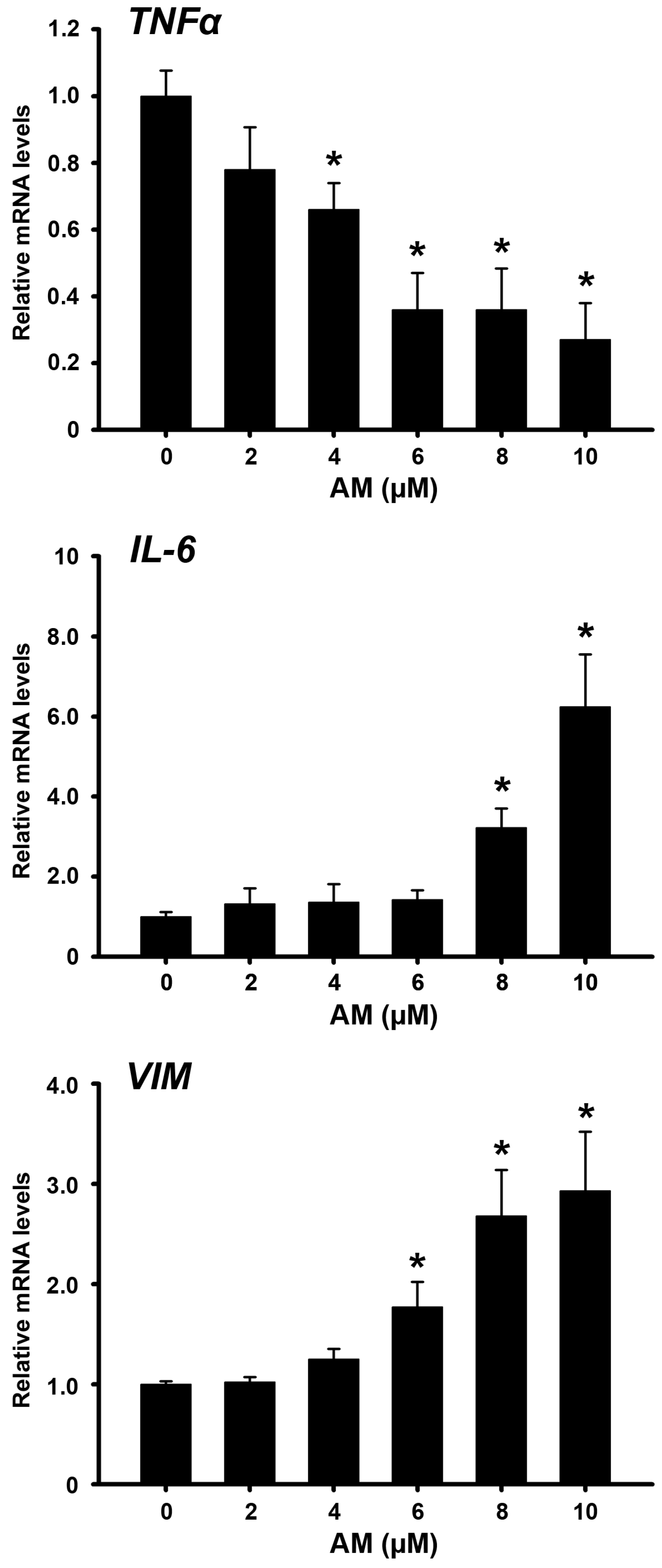 Ijms 24 03055 g003 550