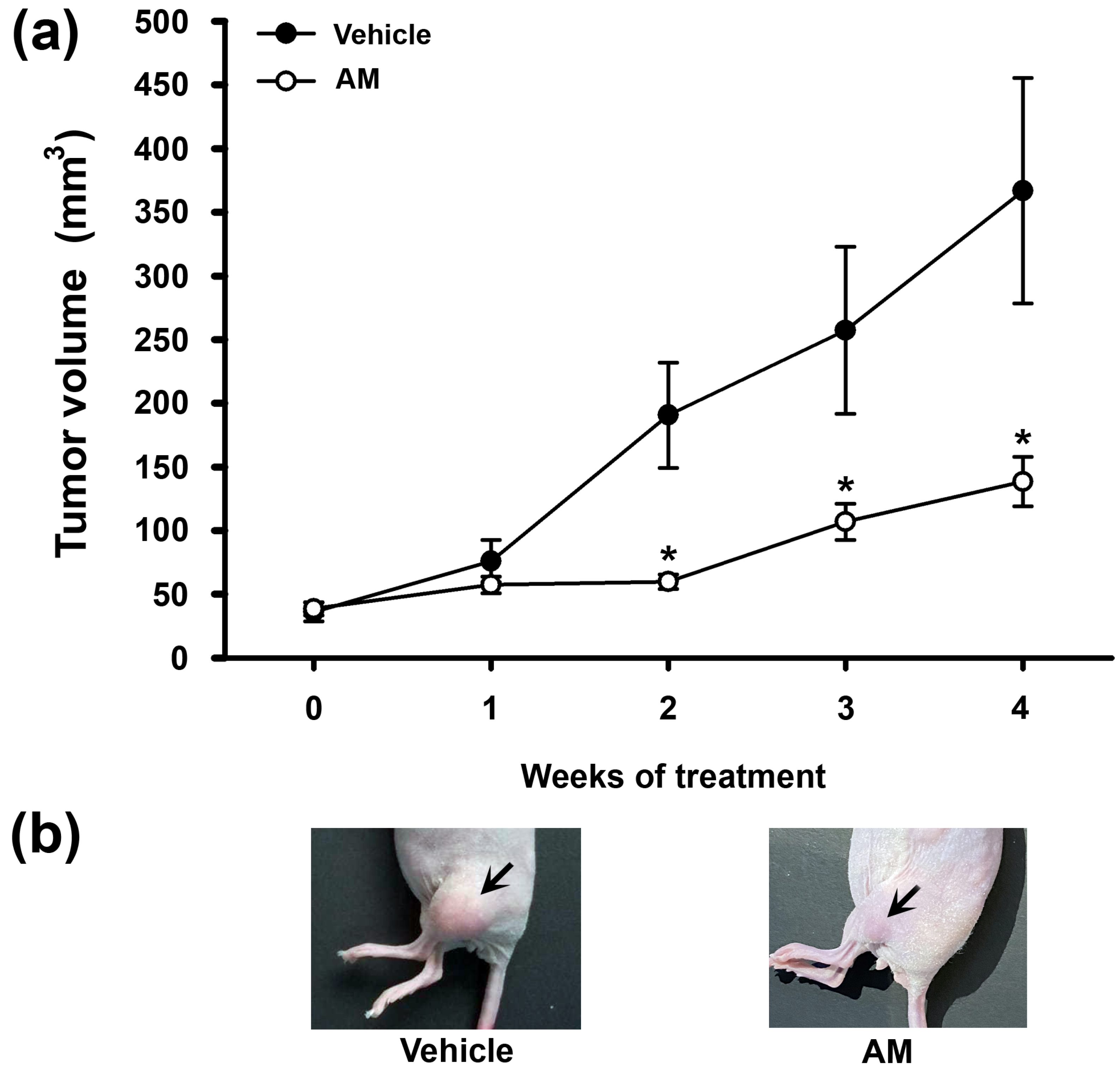 Ijms 24 03055 g004 550