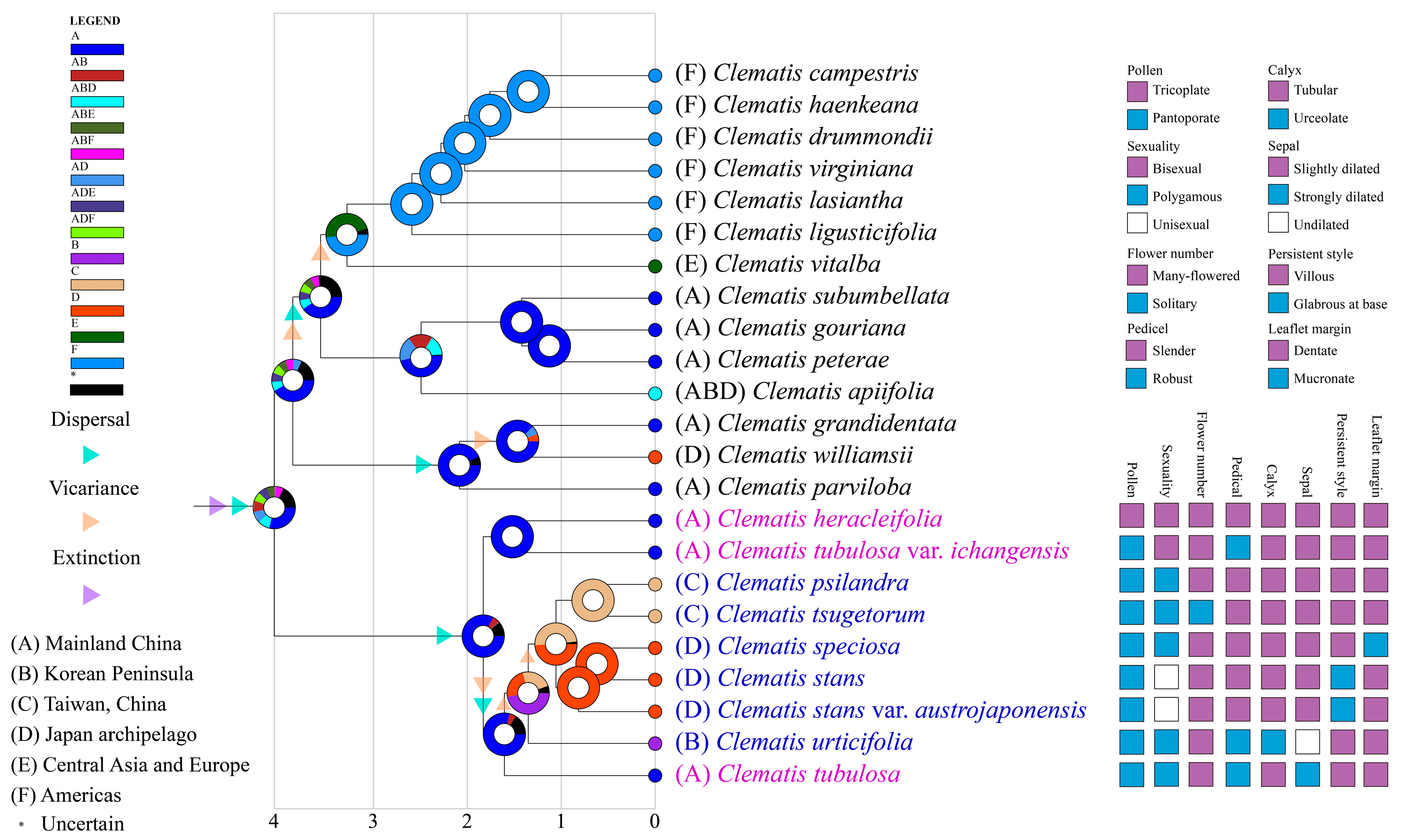 Phylogeny and Historical Biogeography of the East Asian