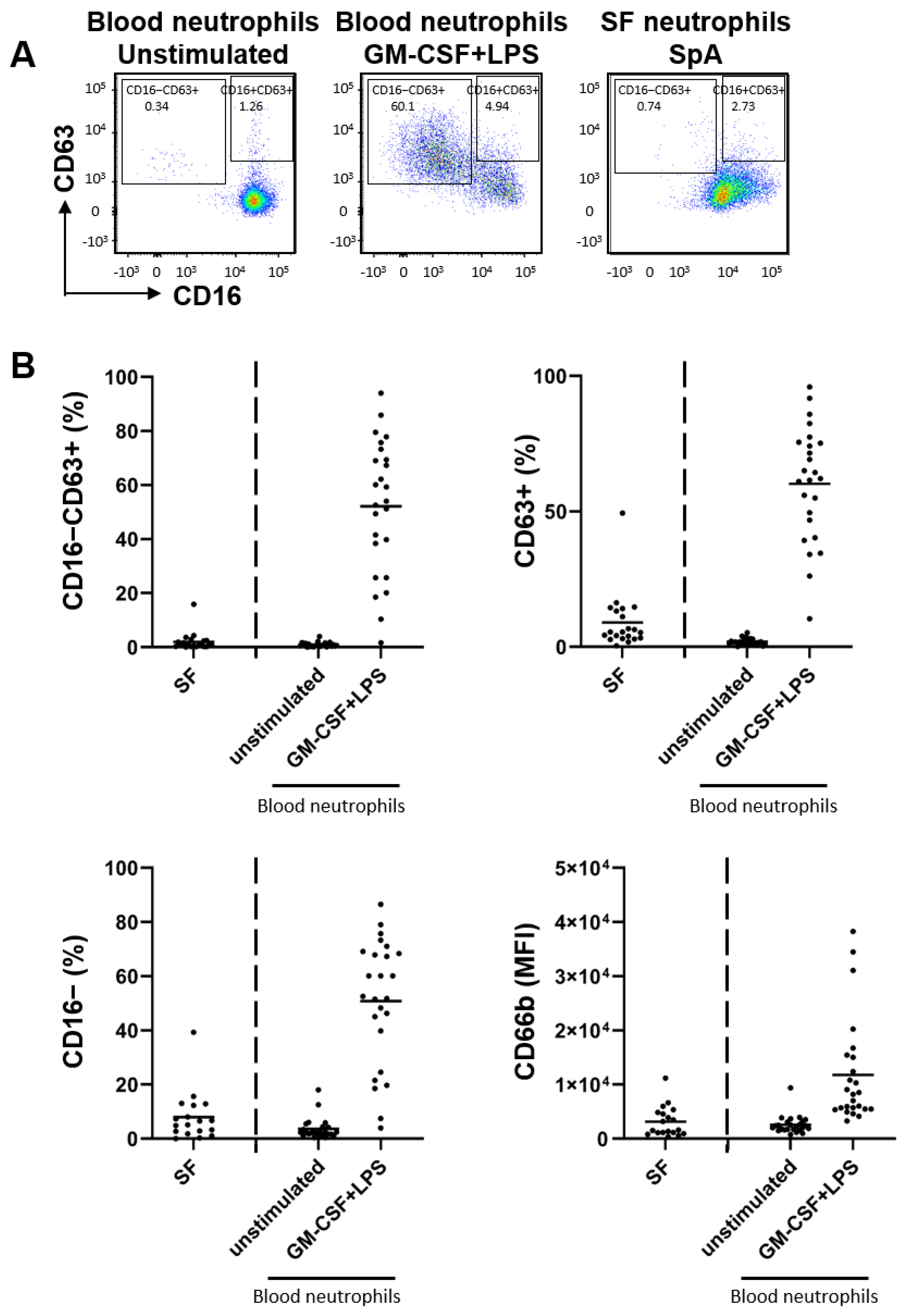 Ijms 24 03066 g001 Ijms 24 03066 g001