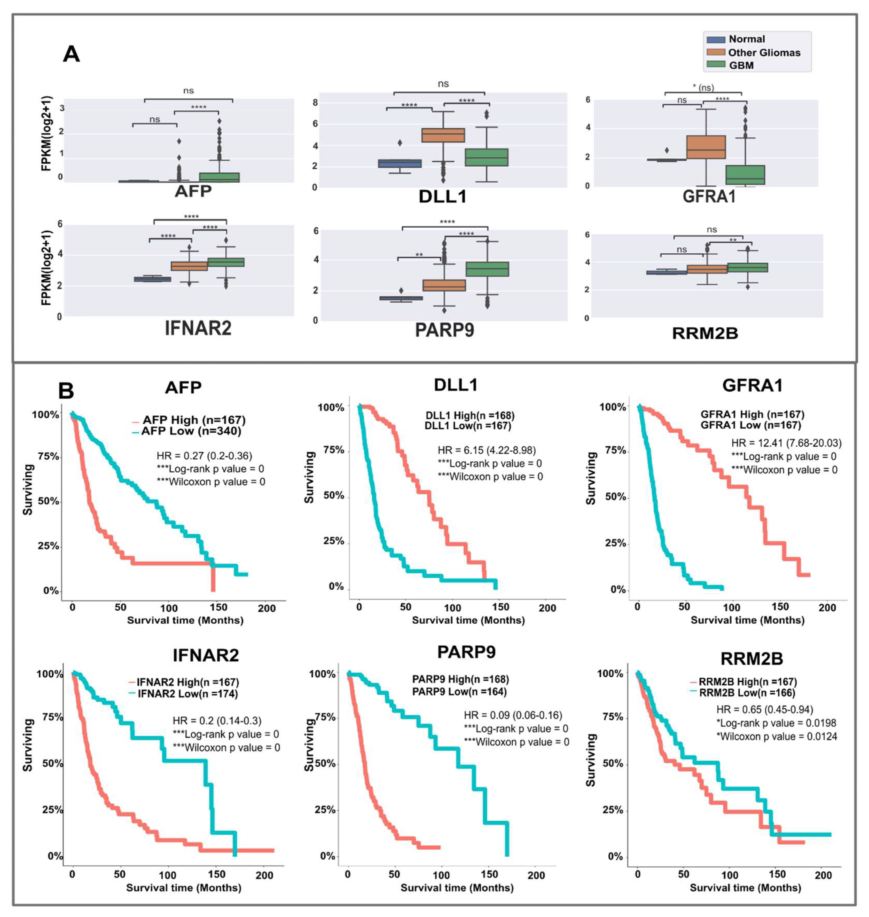 Ijms 24 03075 g002 Ijms 24 03075 g002
