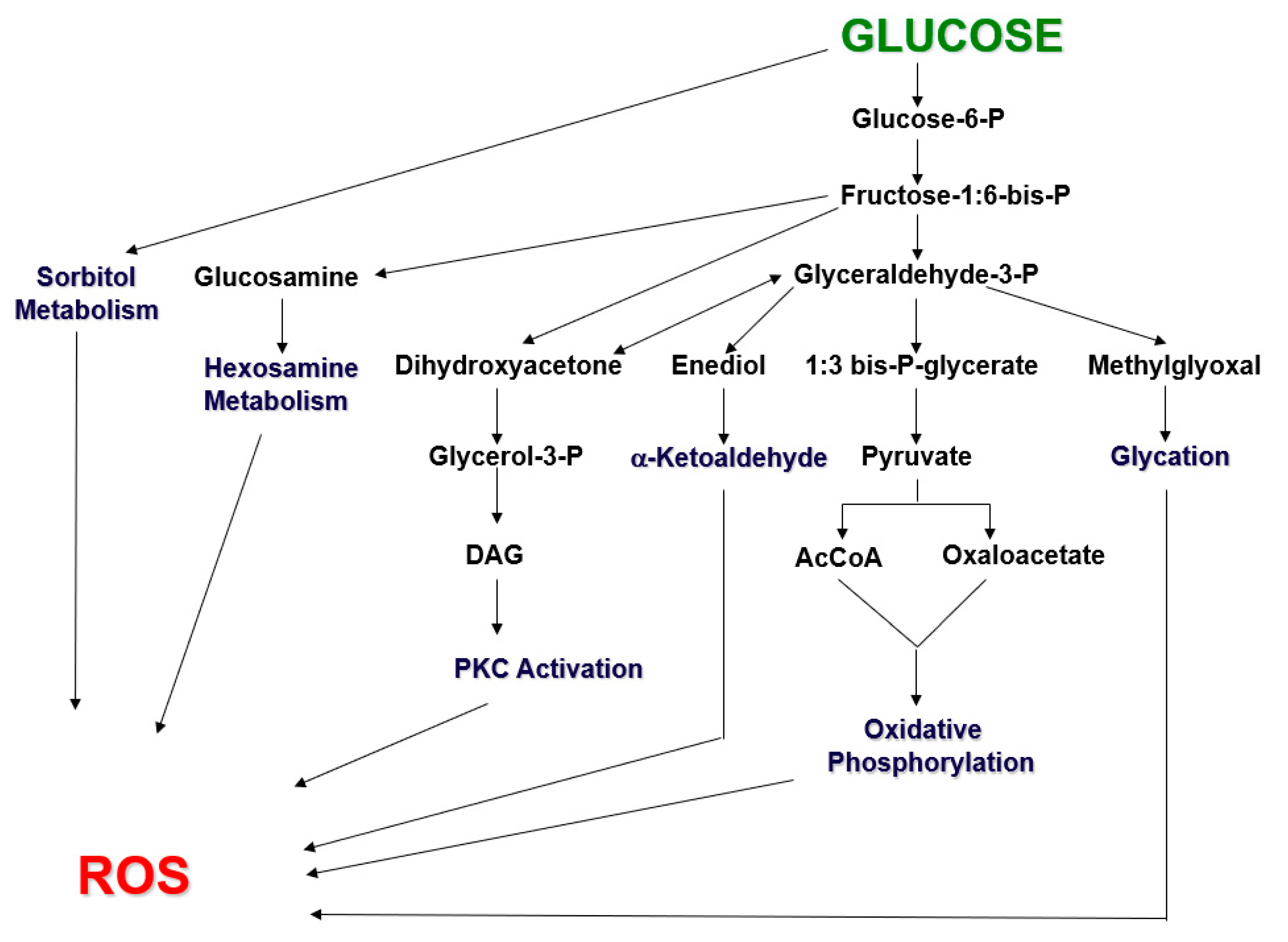 Ijms 24 03082 g001 Ijms 24 03082 g001