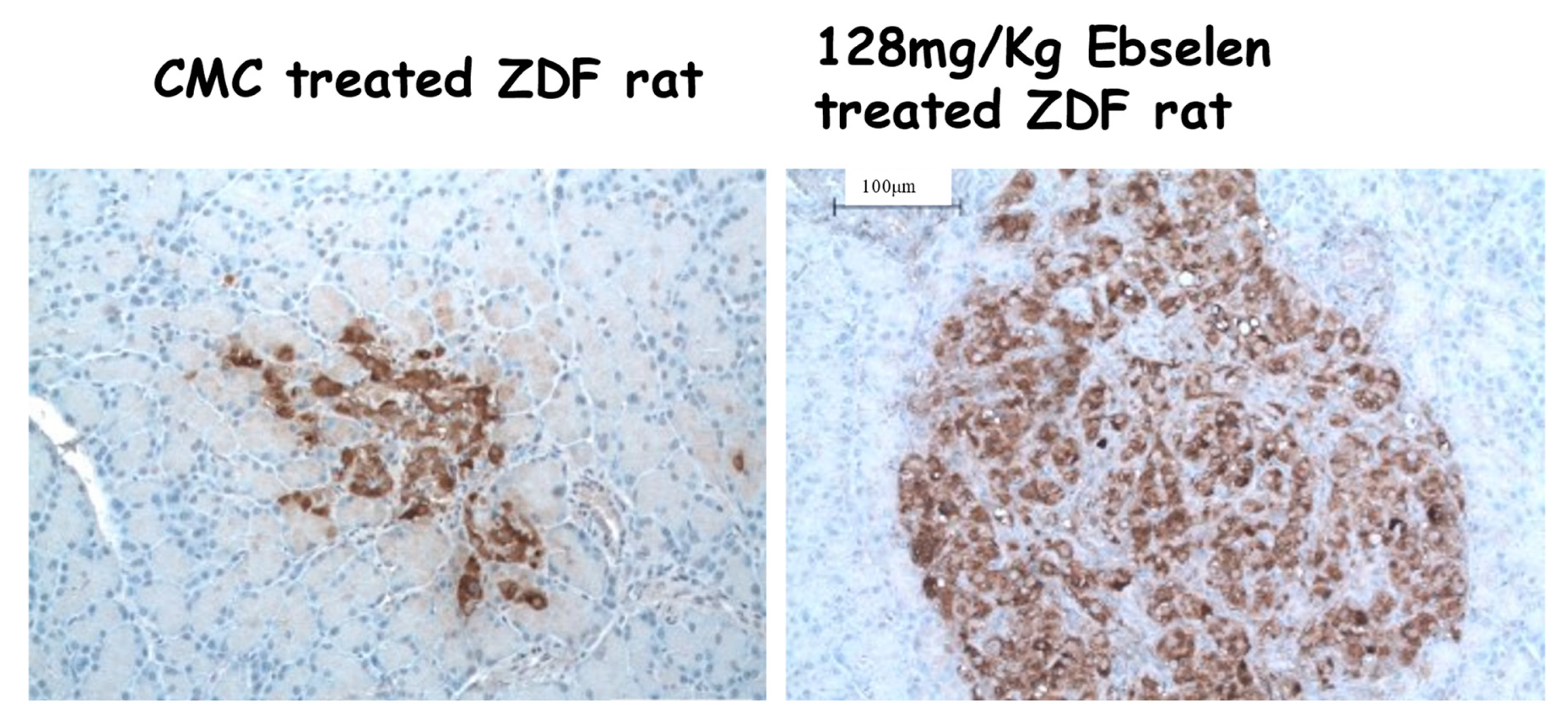 Ijms 24 03082 g004 Ijms 24 03082 g004