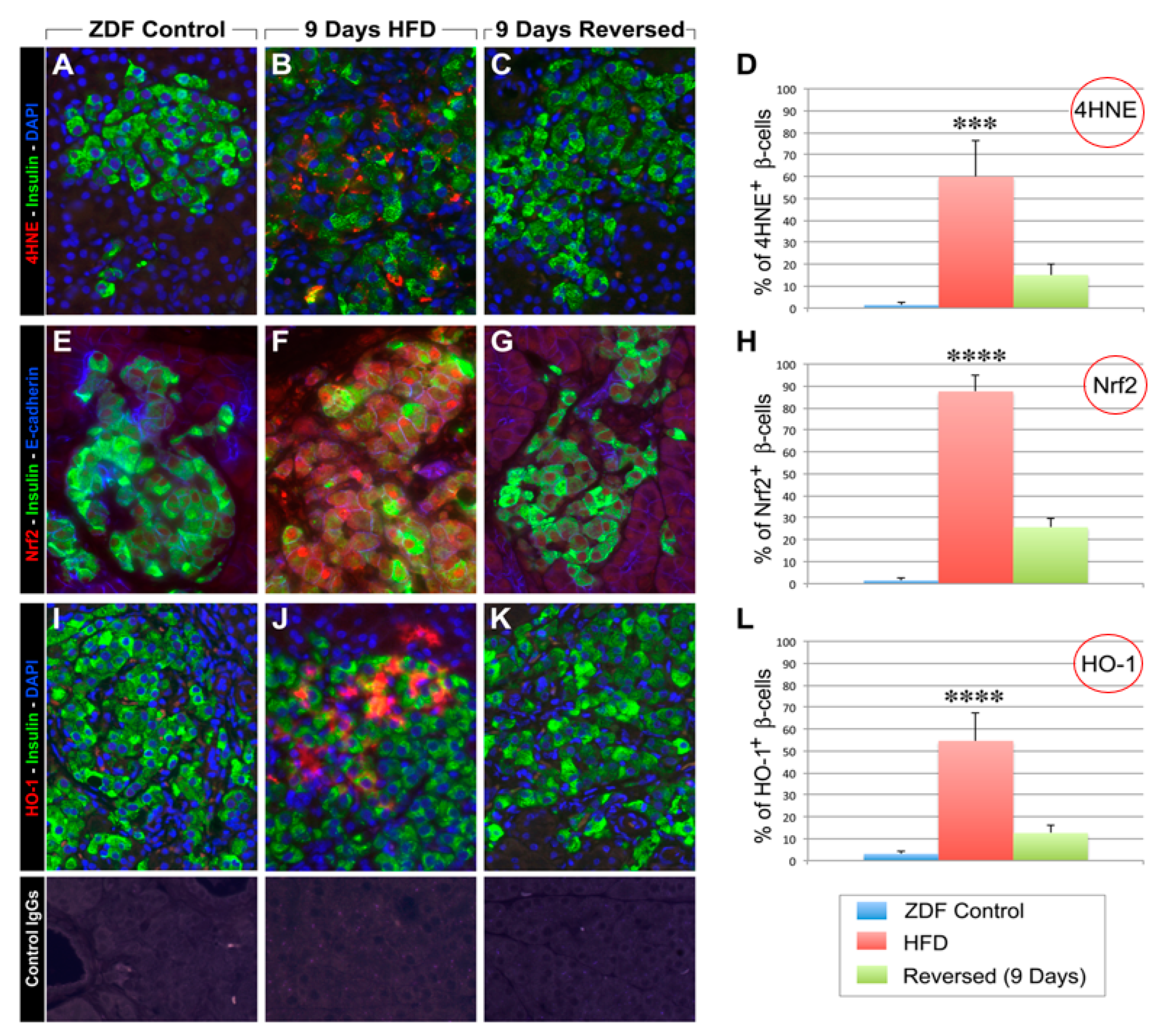 Ijms 24 03082 g005 Ijms 24 03082 g005