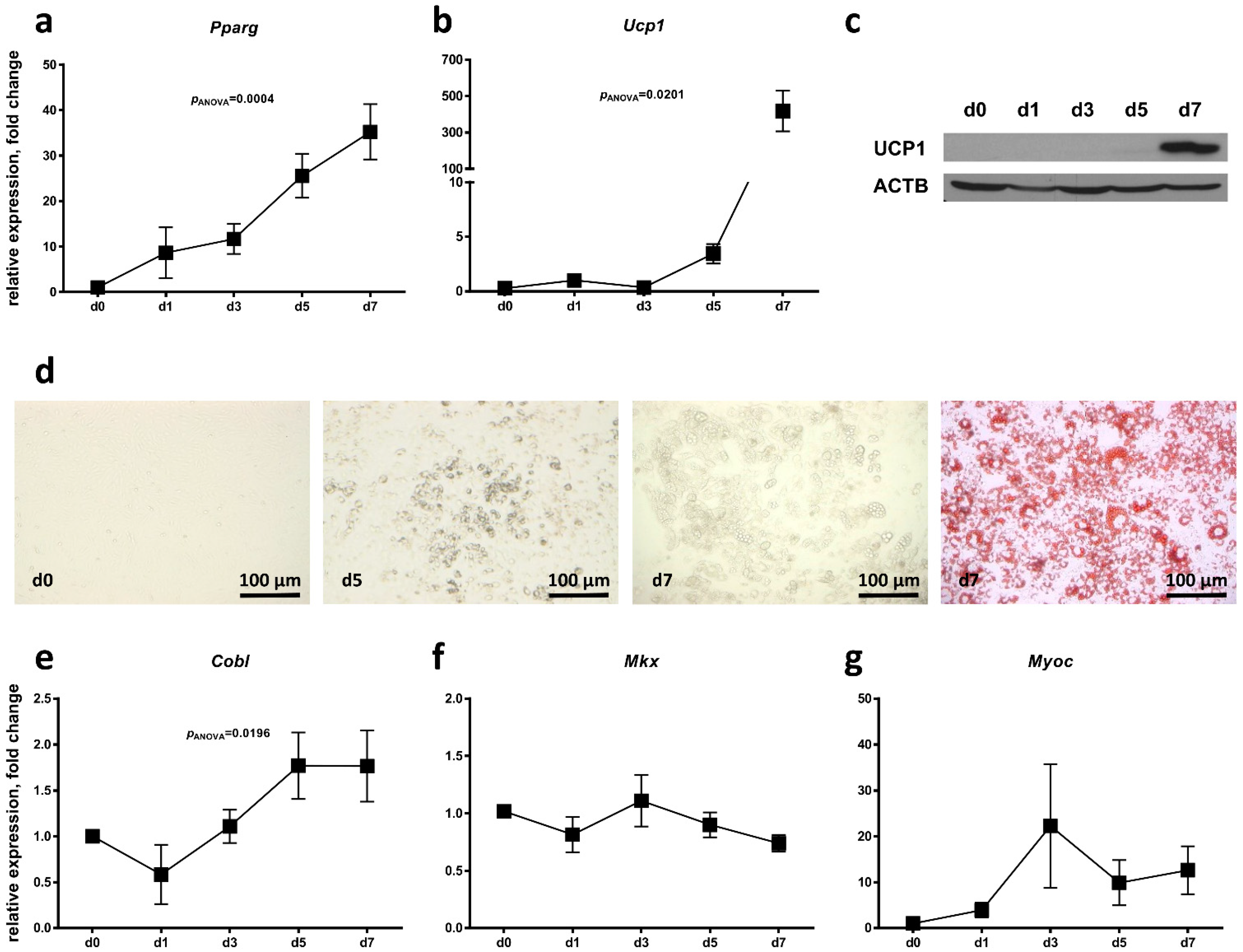 Ijms 24 03085 g003 Ijms 24 03085 g003