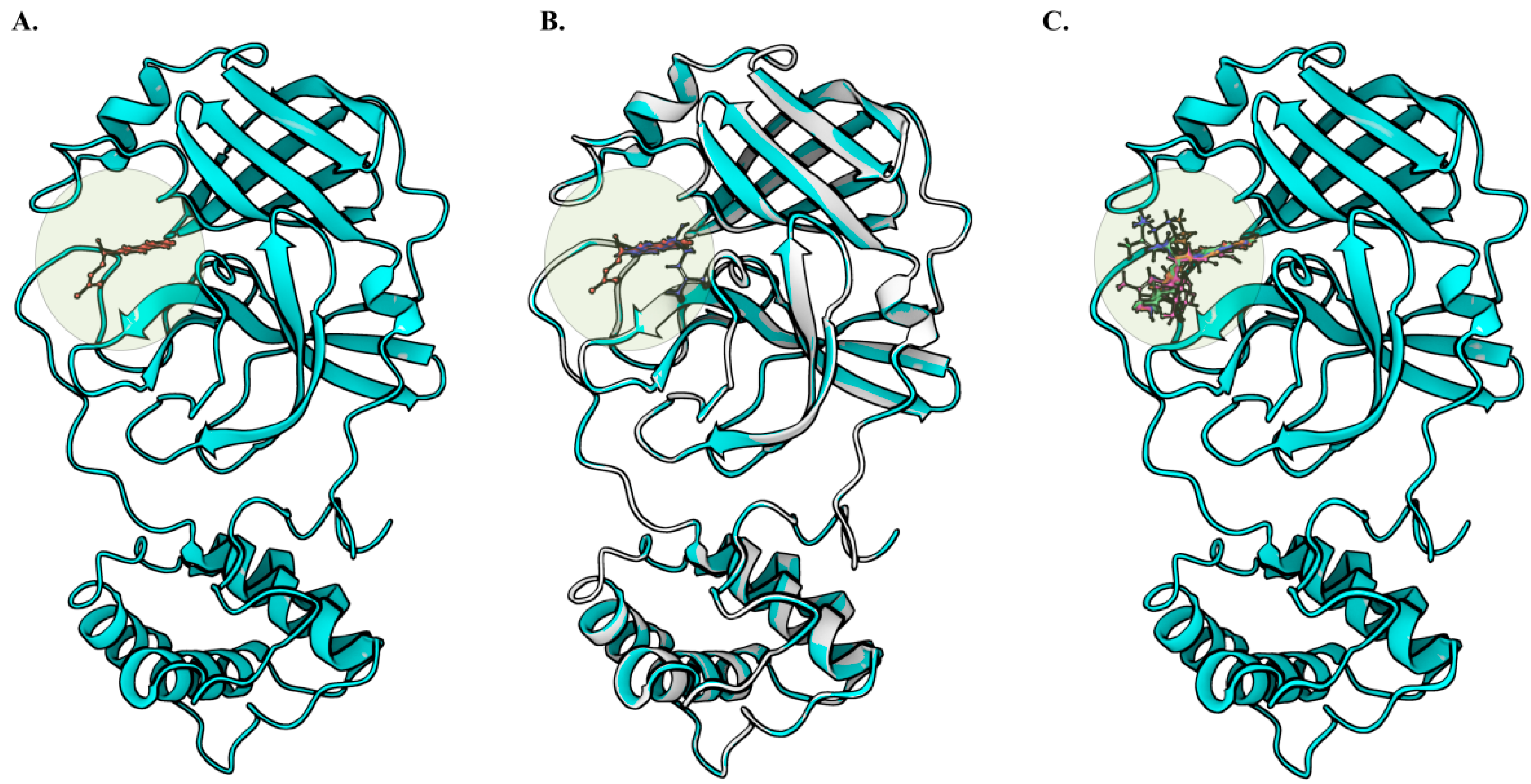 Ijms 24 03100 g003 Ijms 24 03100 g003
