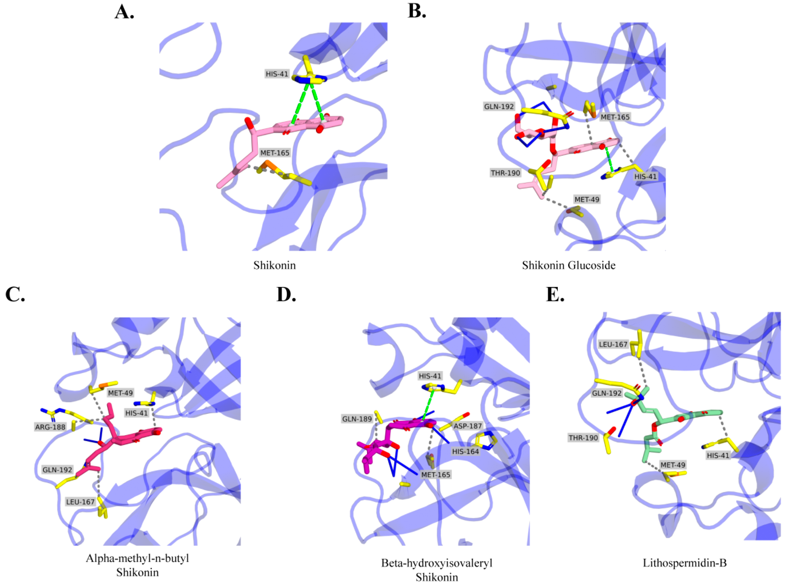 Ijms 24 03100 g004 Ijms 24 03100 g004