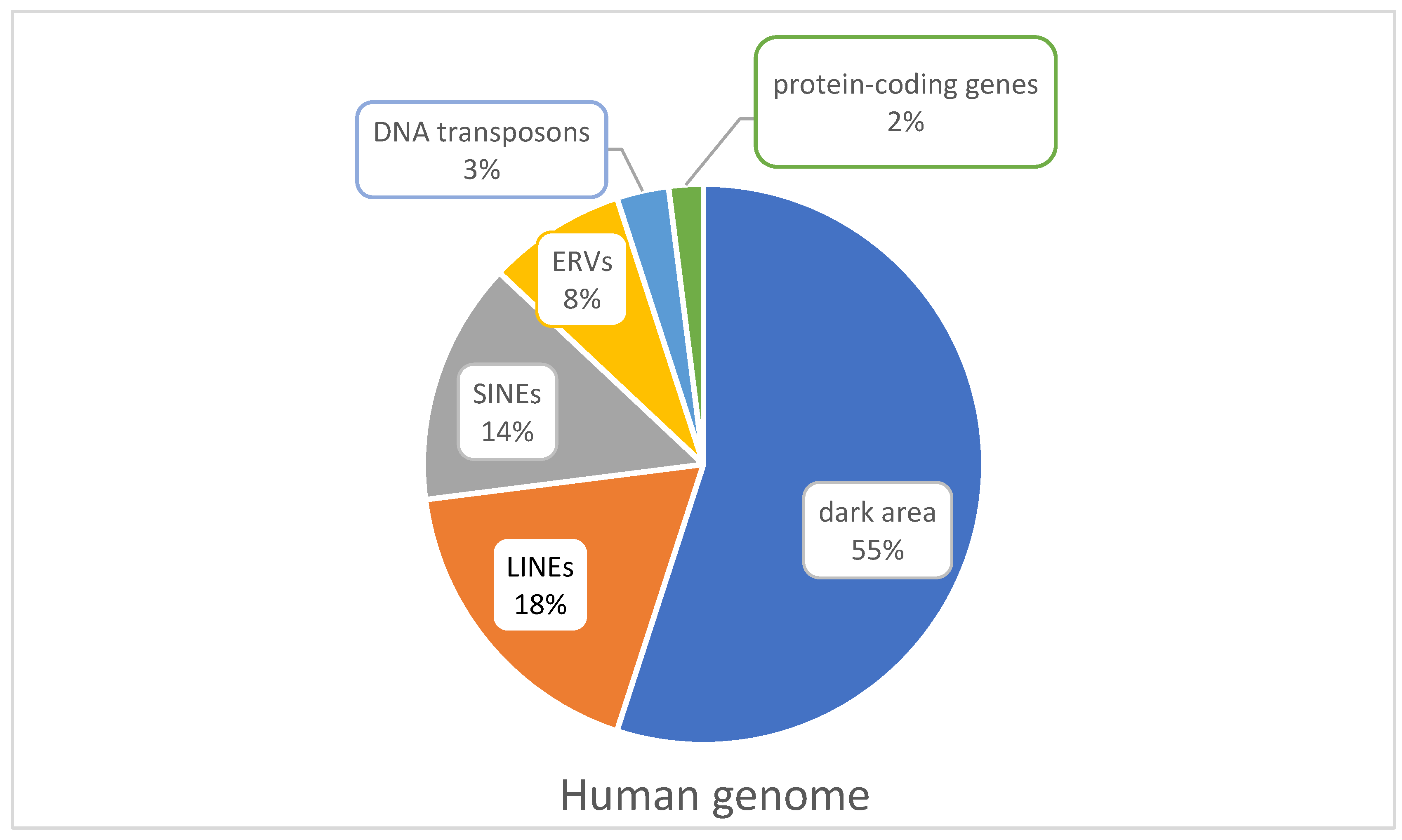 Ijms 24 03104 g002 Ijms 24 03104 g002