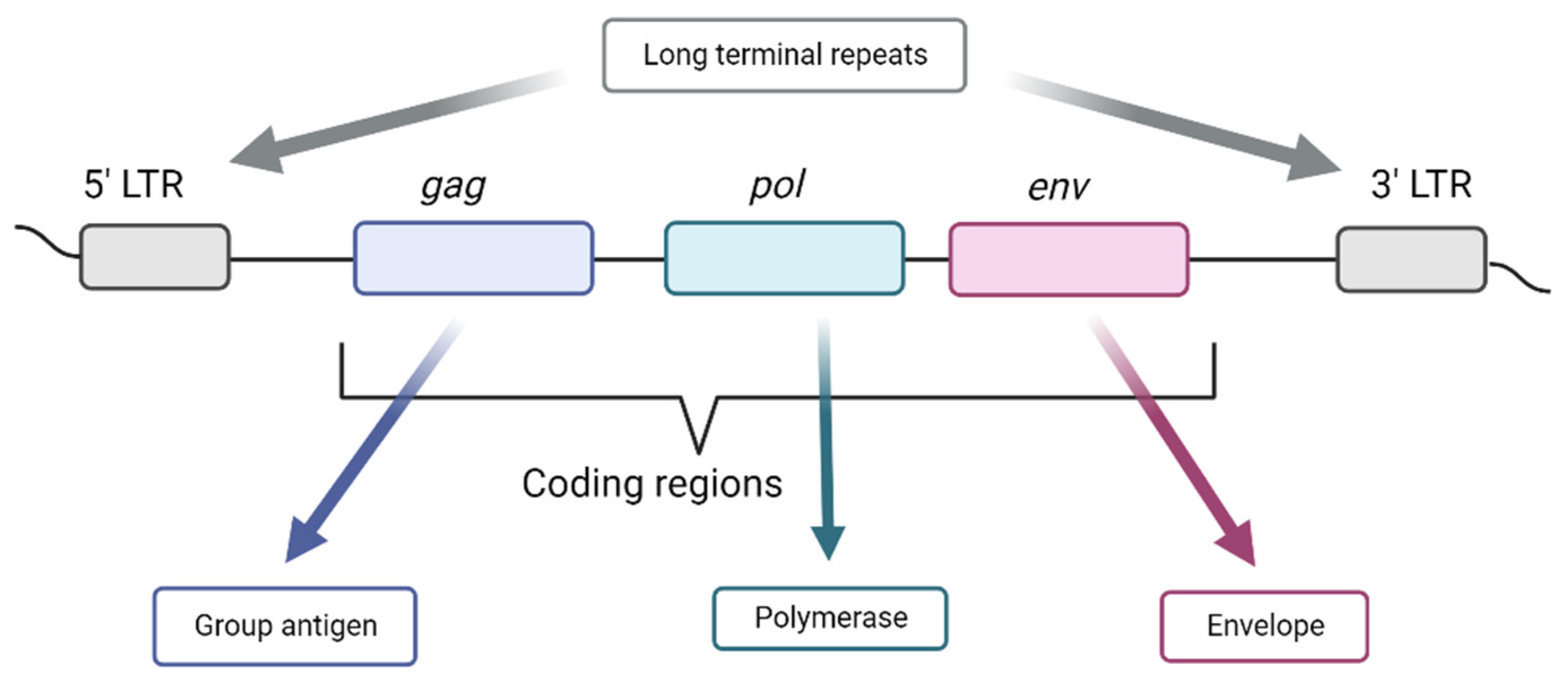 Ijms 24 03104 g003 Ijms 24 03104 g003