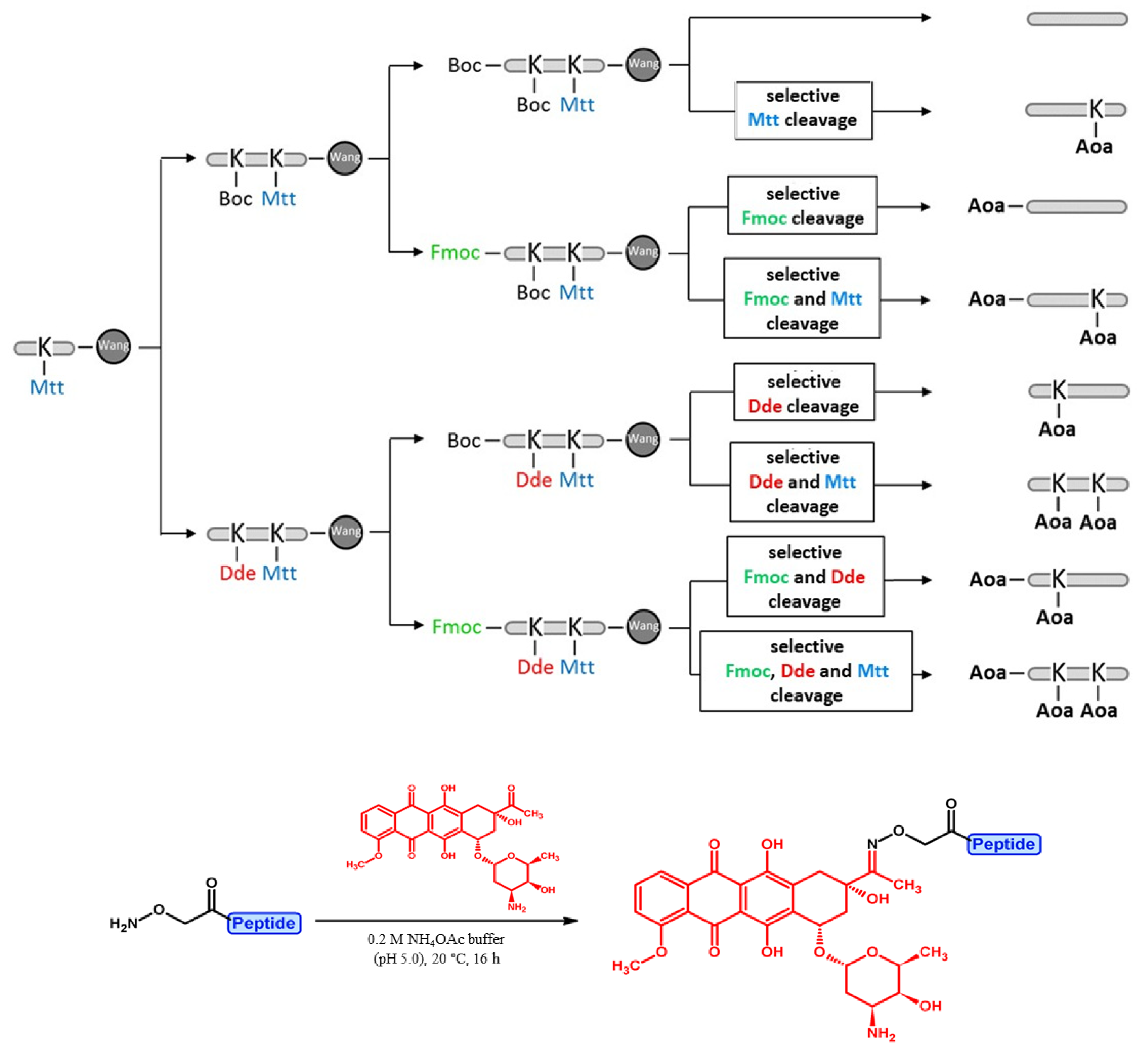 Ijms 24 03106 sch001
