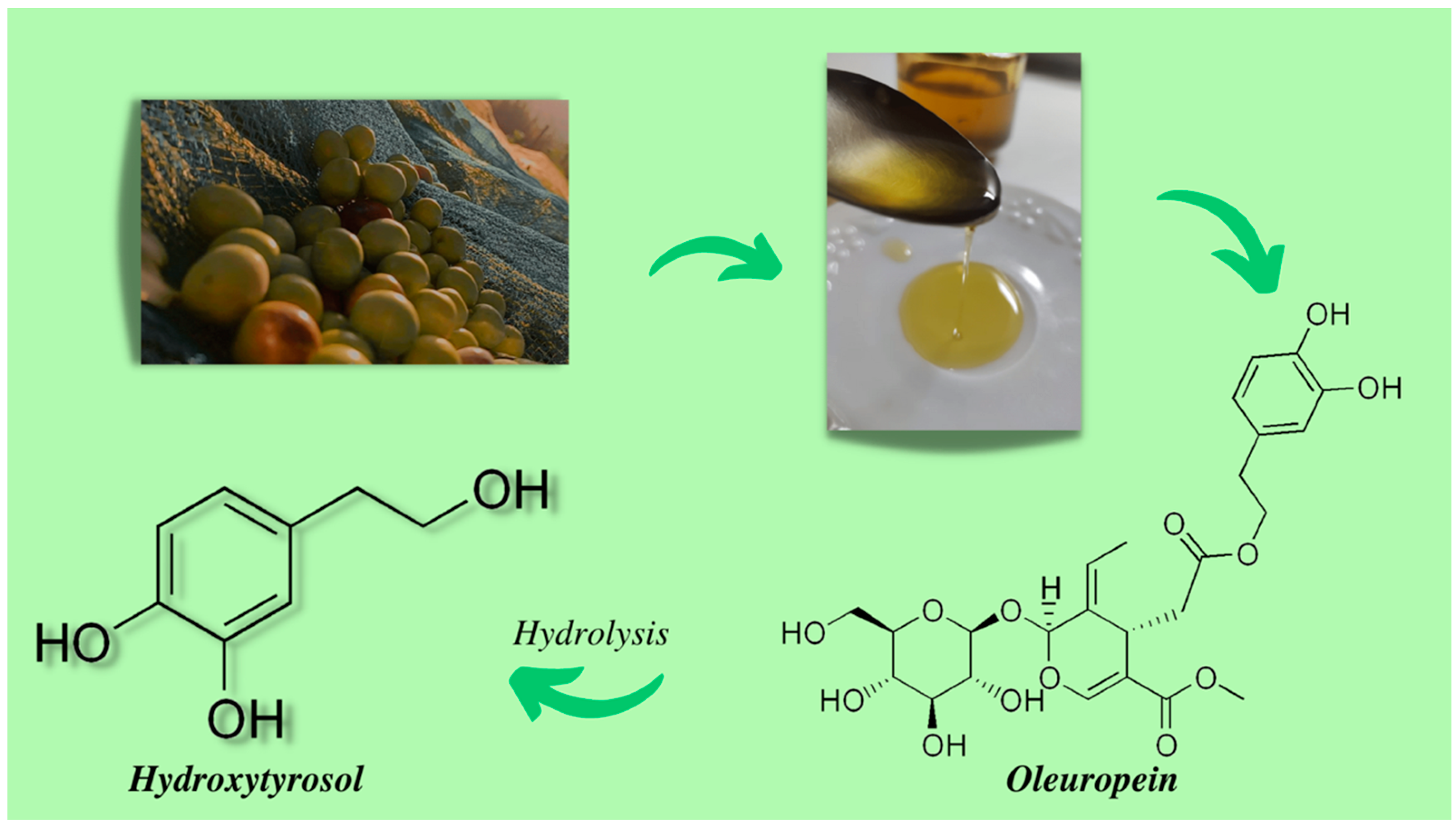 The chemical structure of hydroxytyrosol, a derivative of the hydrolysis of oleuropein contained in olive oil. The chemical structure of hydroxytyrosol, a derivative of the hydrolysis of oleuropein contained in olive oil.