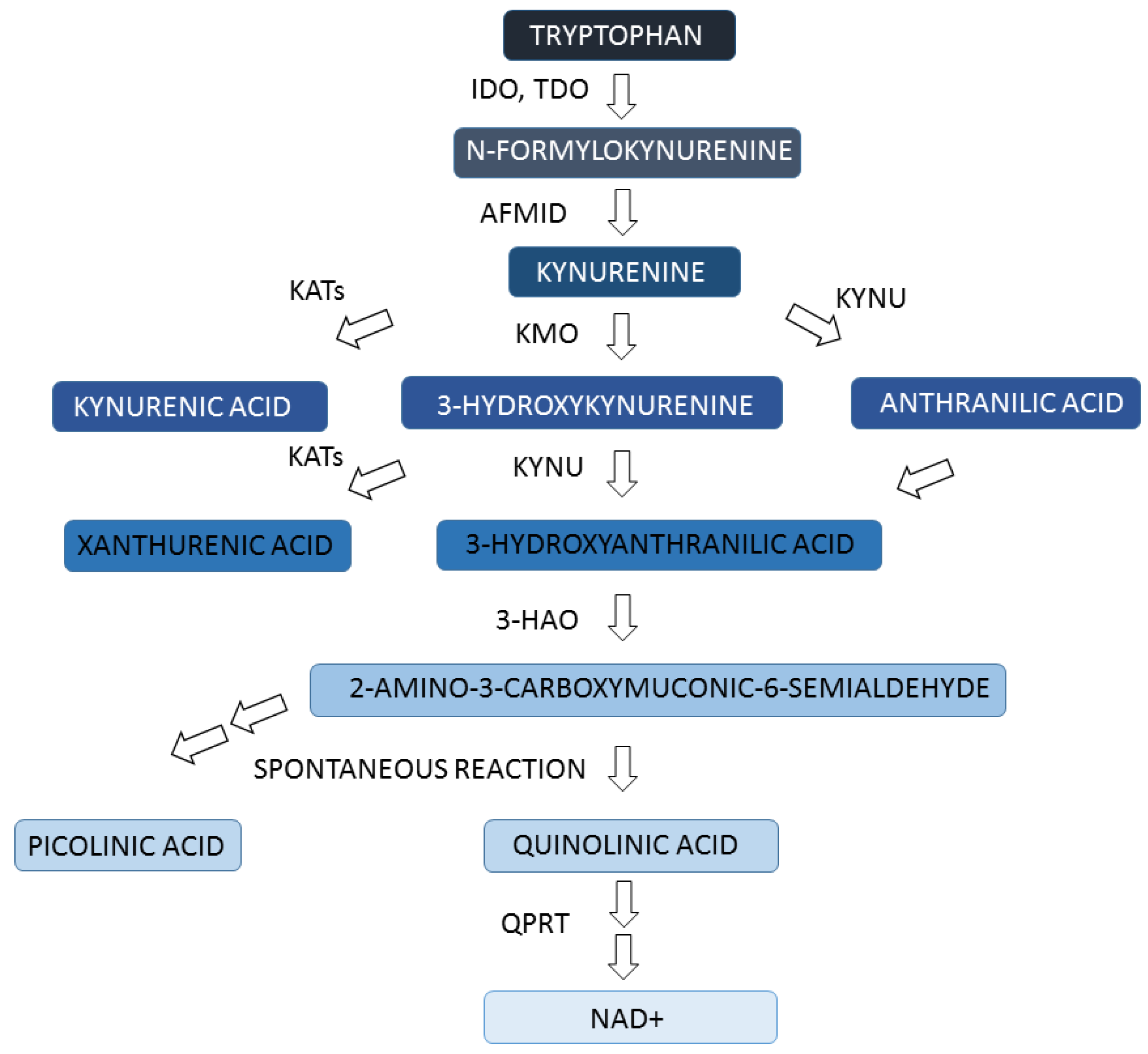Ijms 24 03114 g002 Ijms 24 03114 g002