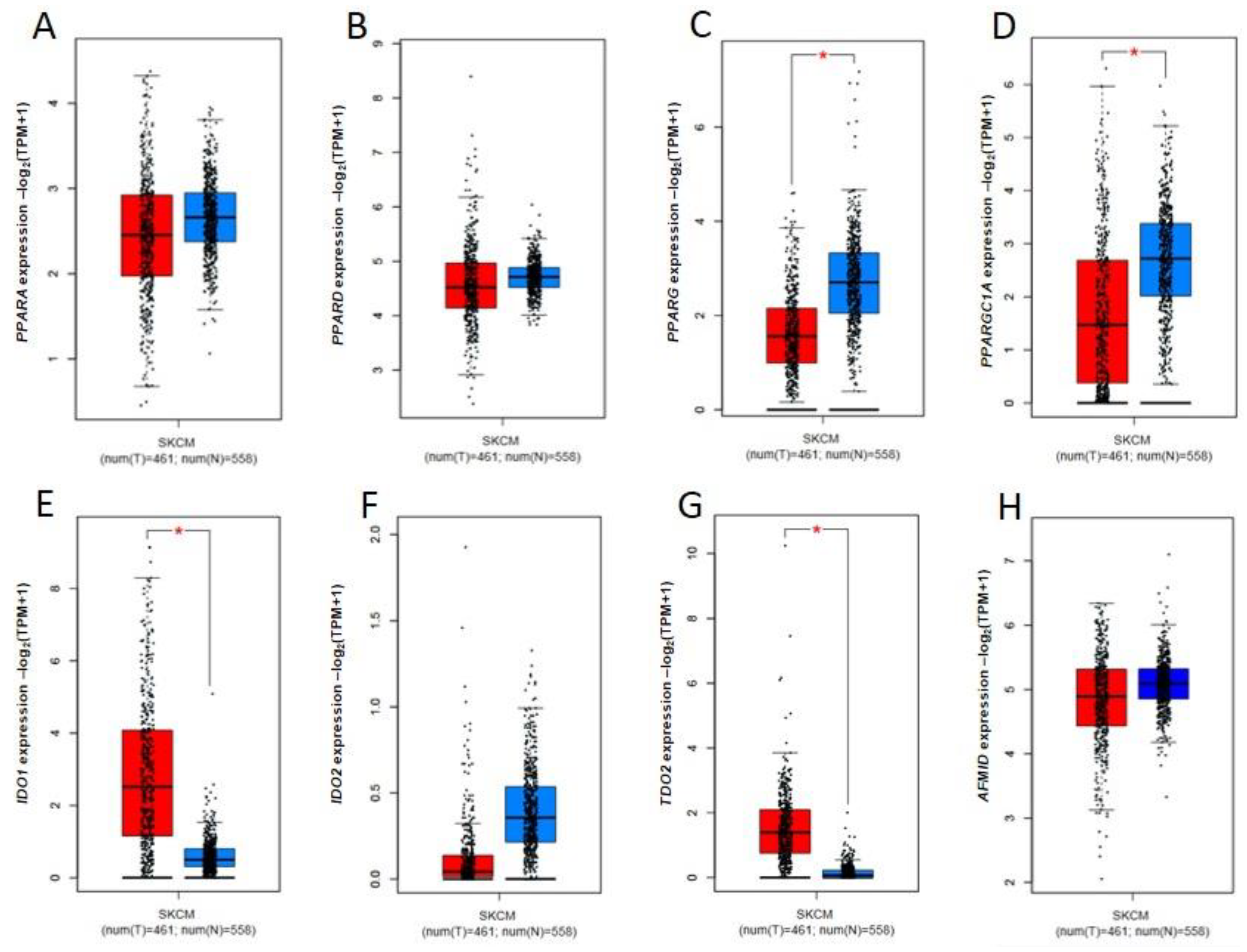 Ijms 24 03114 g004a Ijms 24 03114 g004a