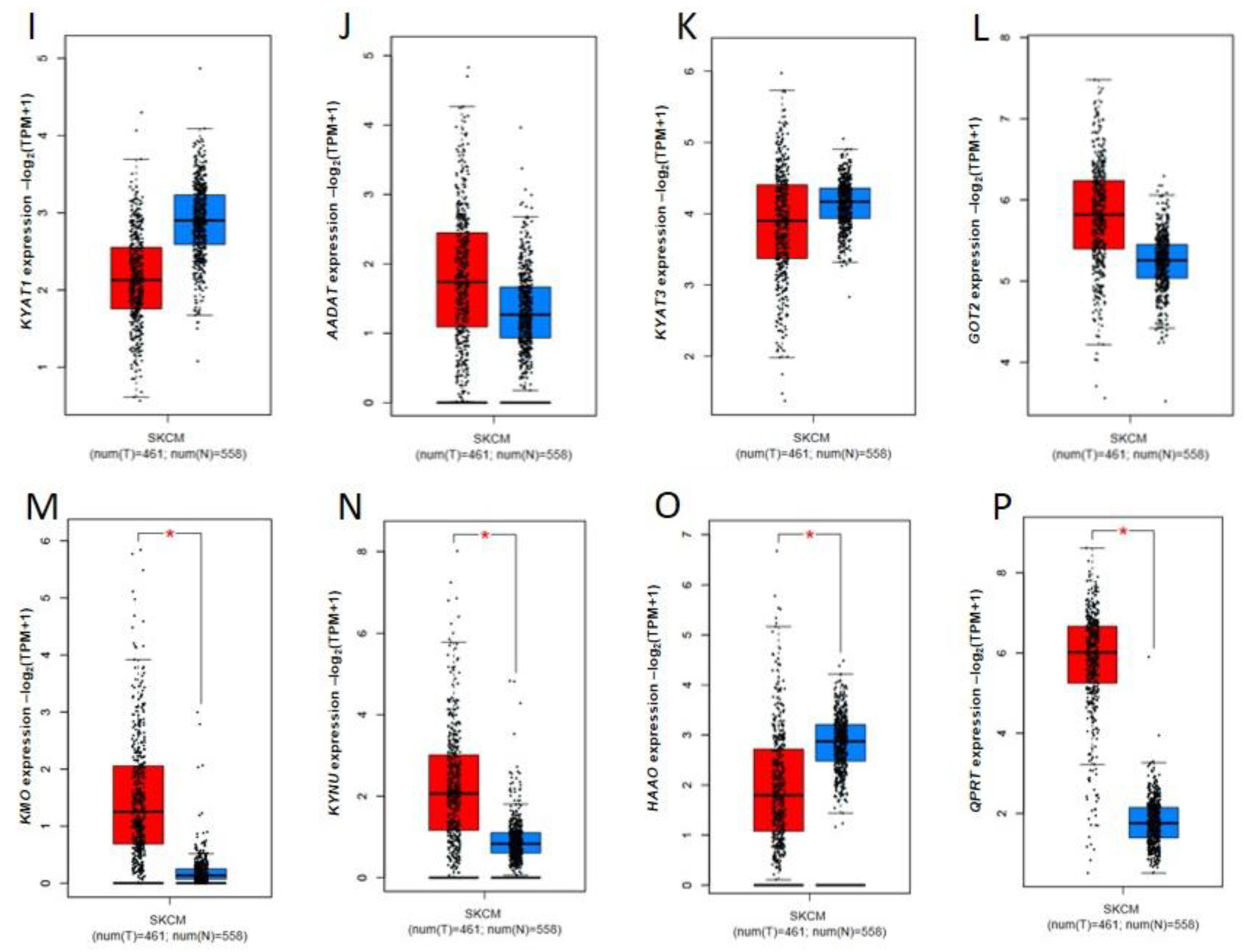 Ijms 24 03114 g004b Ijms 24 03114 g004b