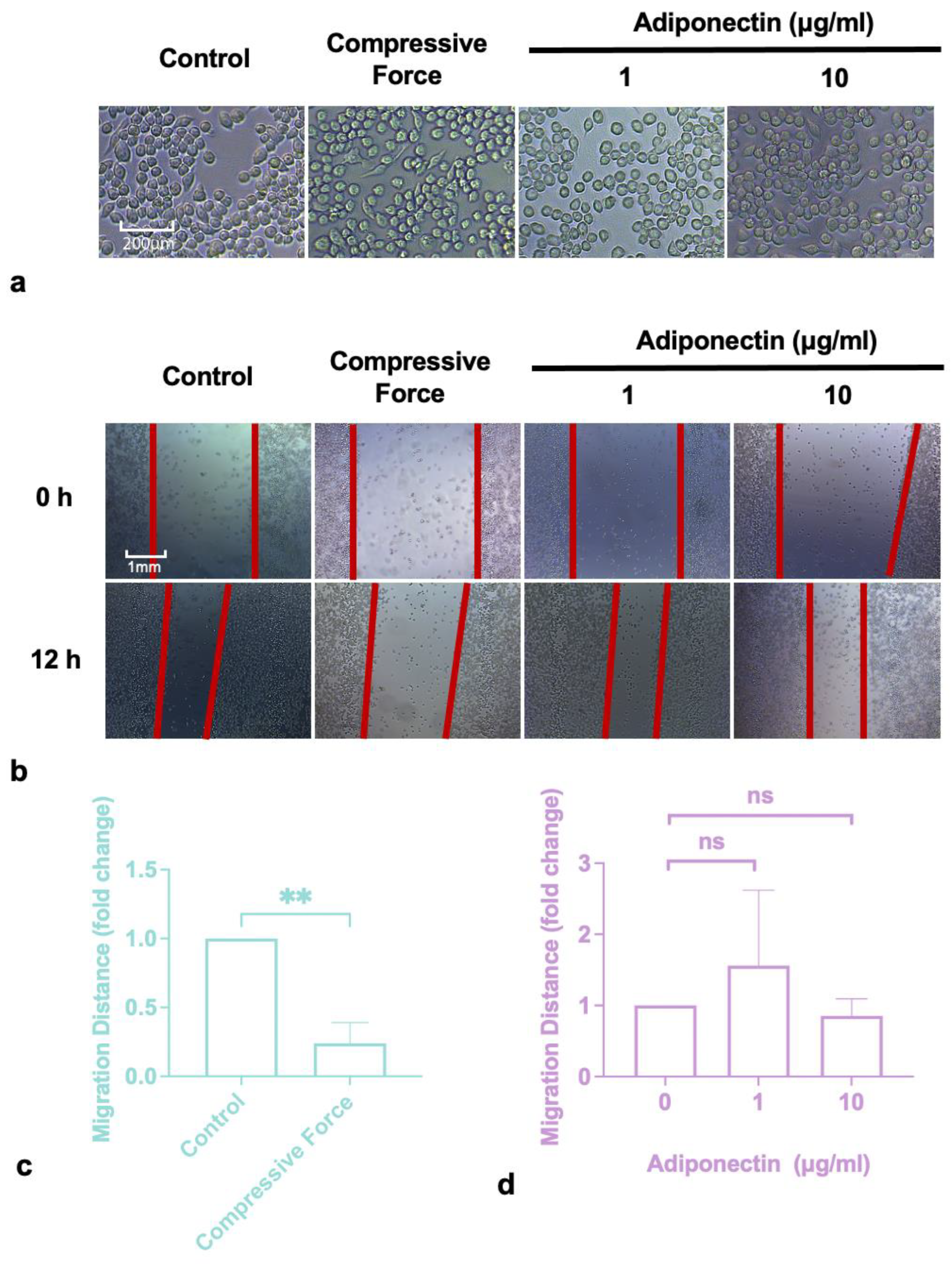 Ijms 24 03117 g001 550
