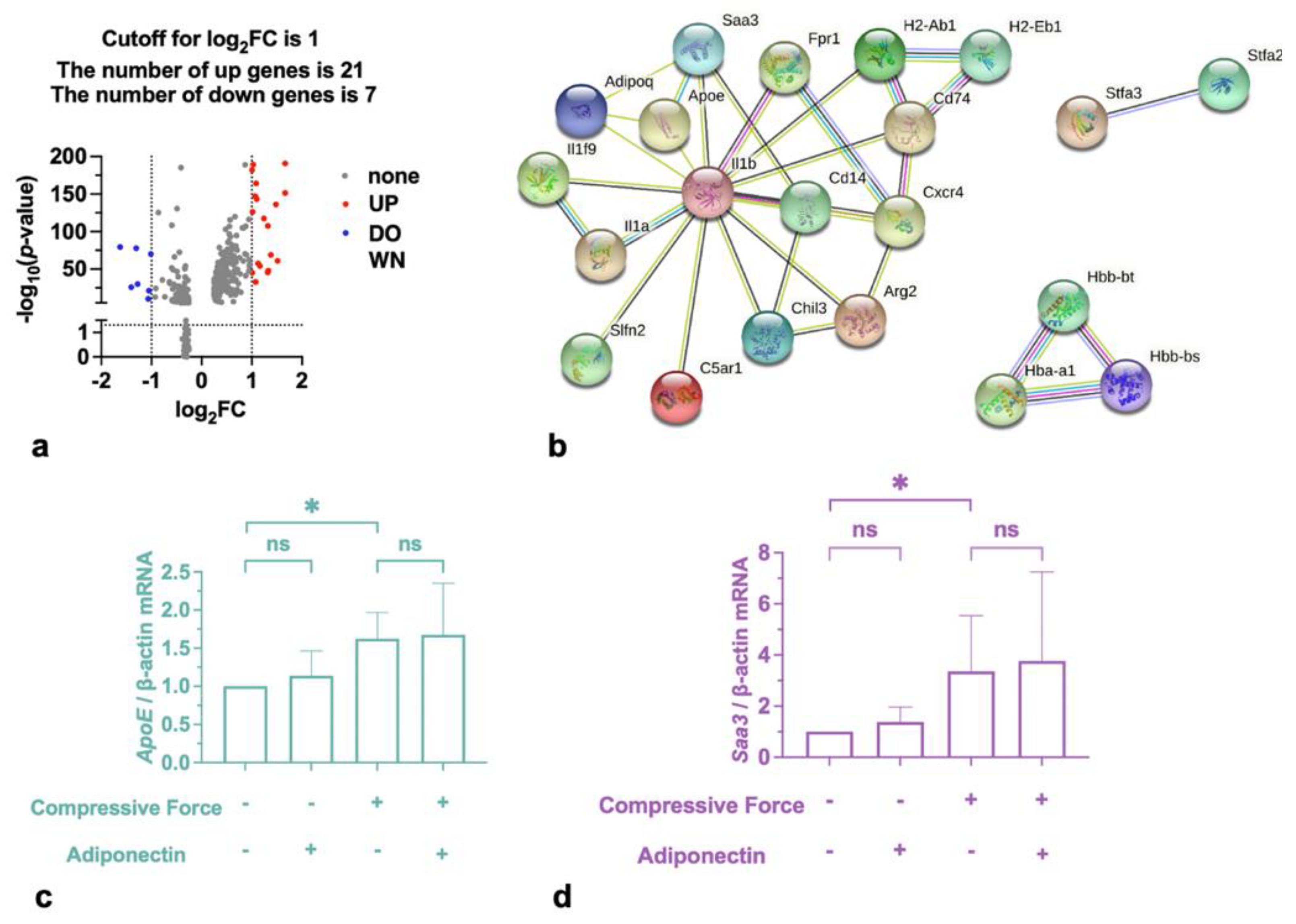 Ijms 24 03117 g003 550