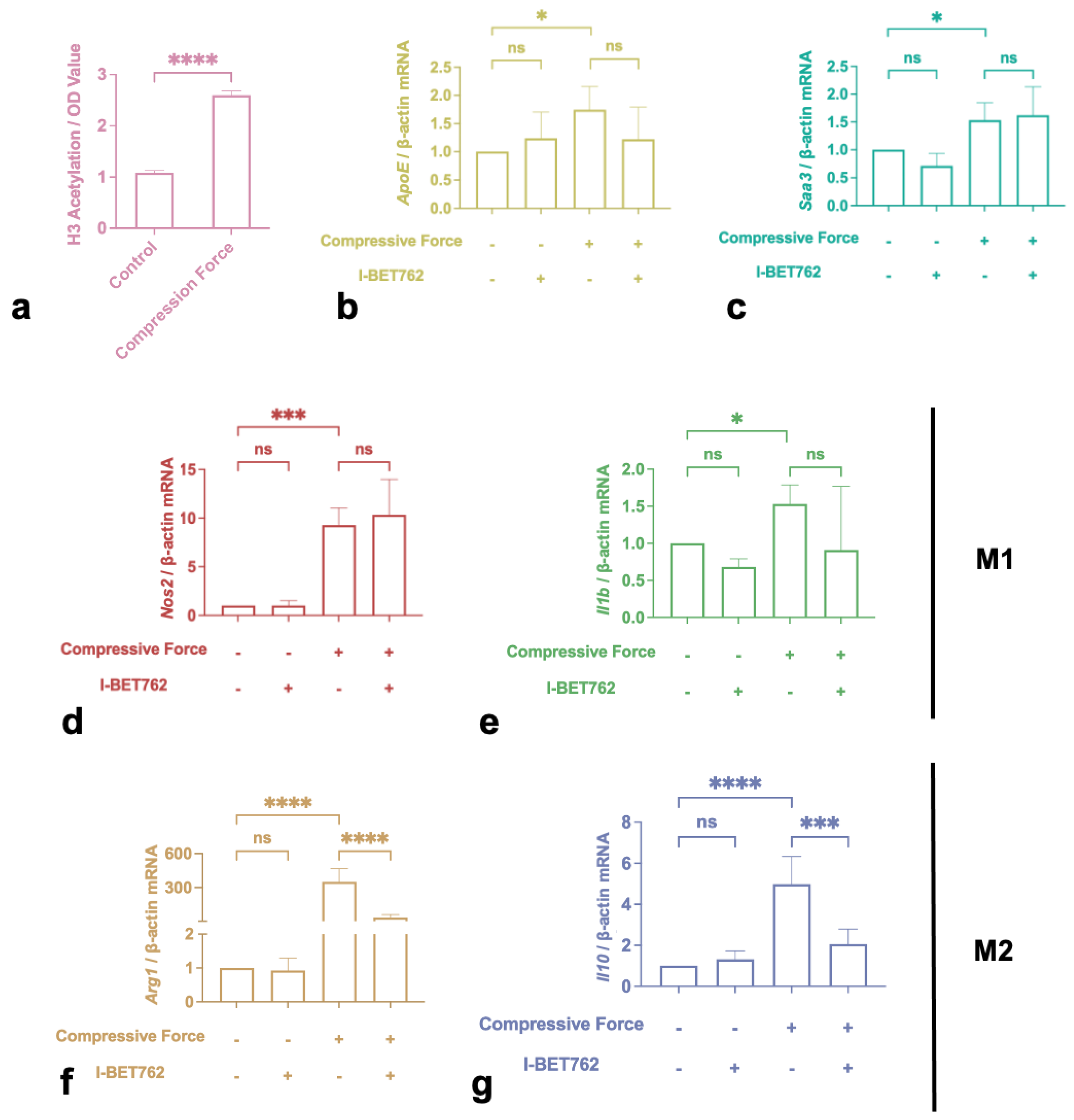 Ijms 24 03117 g004 550