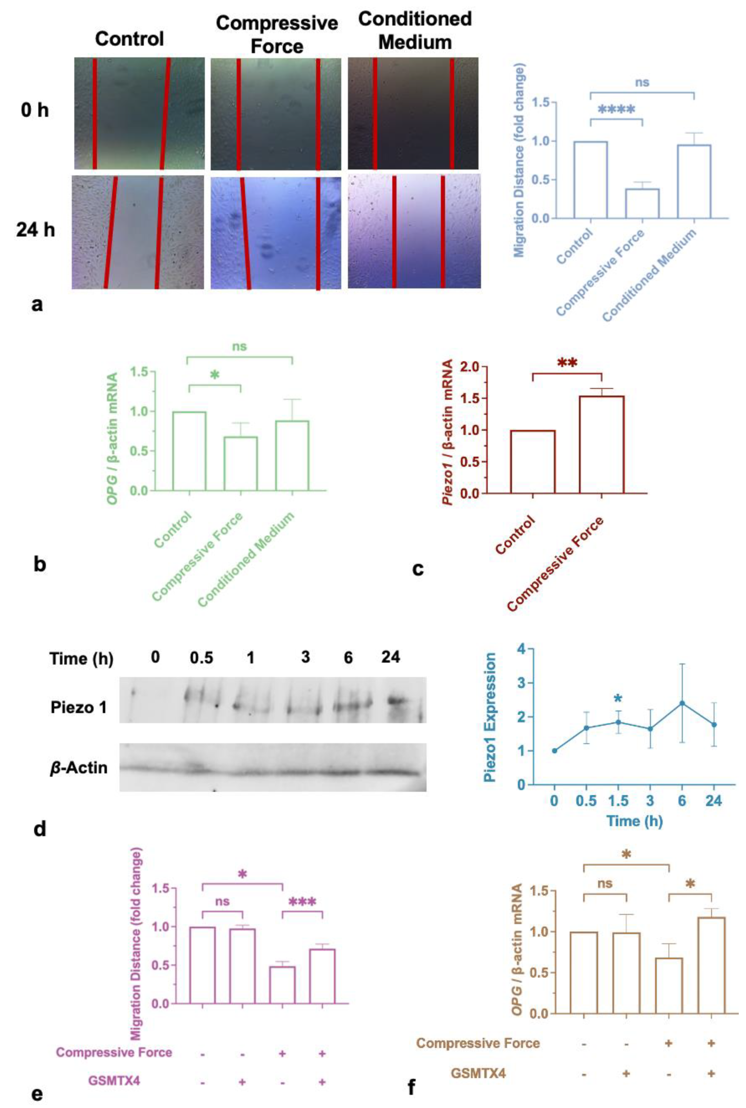 Ijms 24 03117 g005 550
