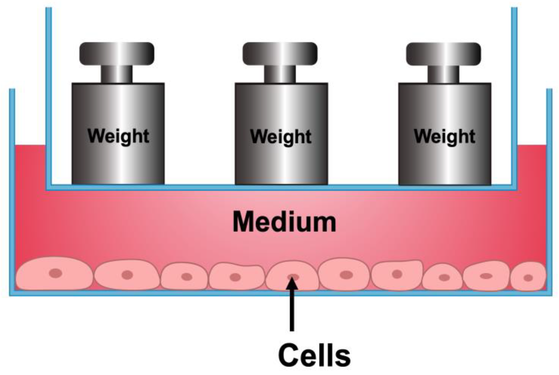 Ijms 24 03117 g007 550