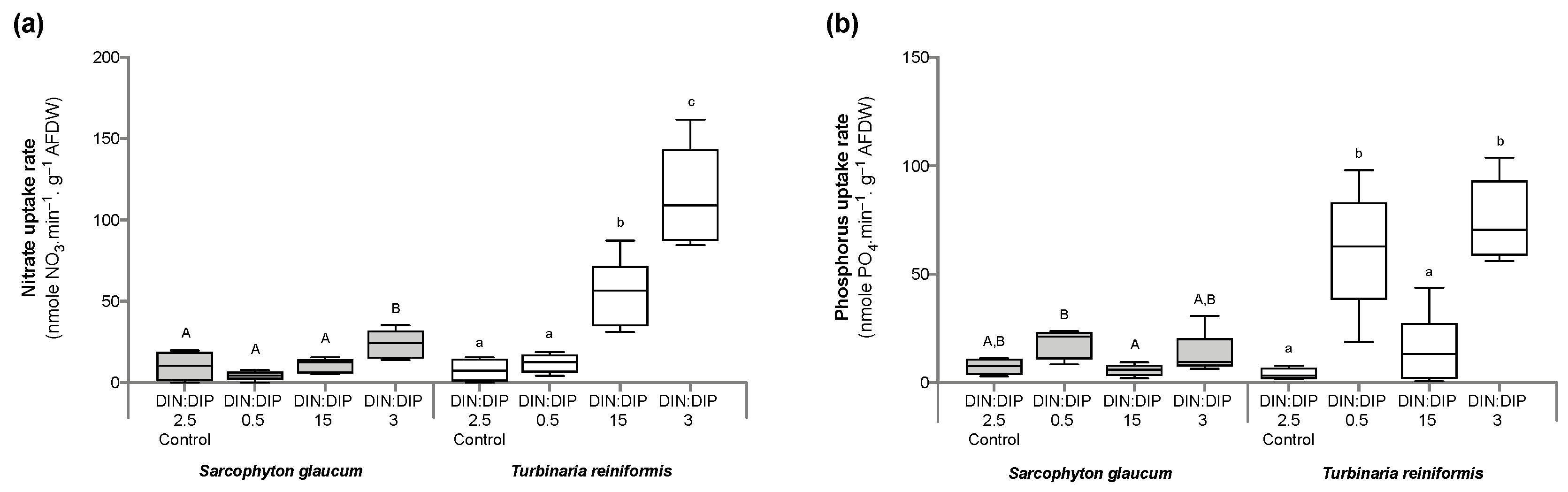 Ijms 24 03119 g001 Ijms 24 03119 g001