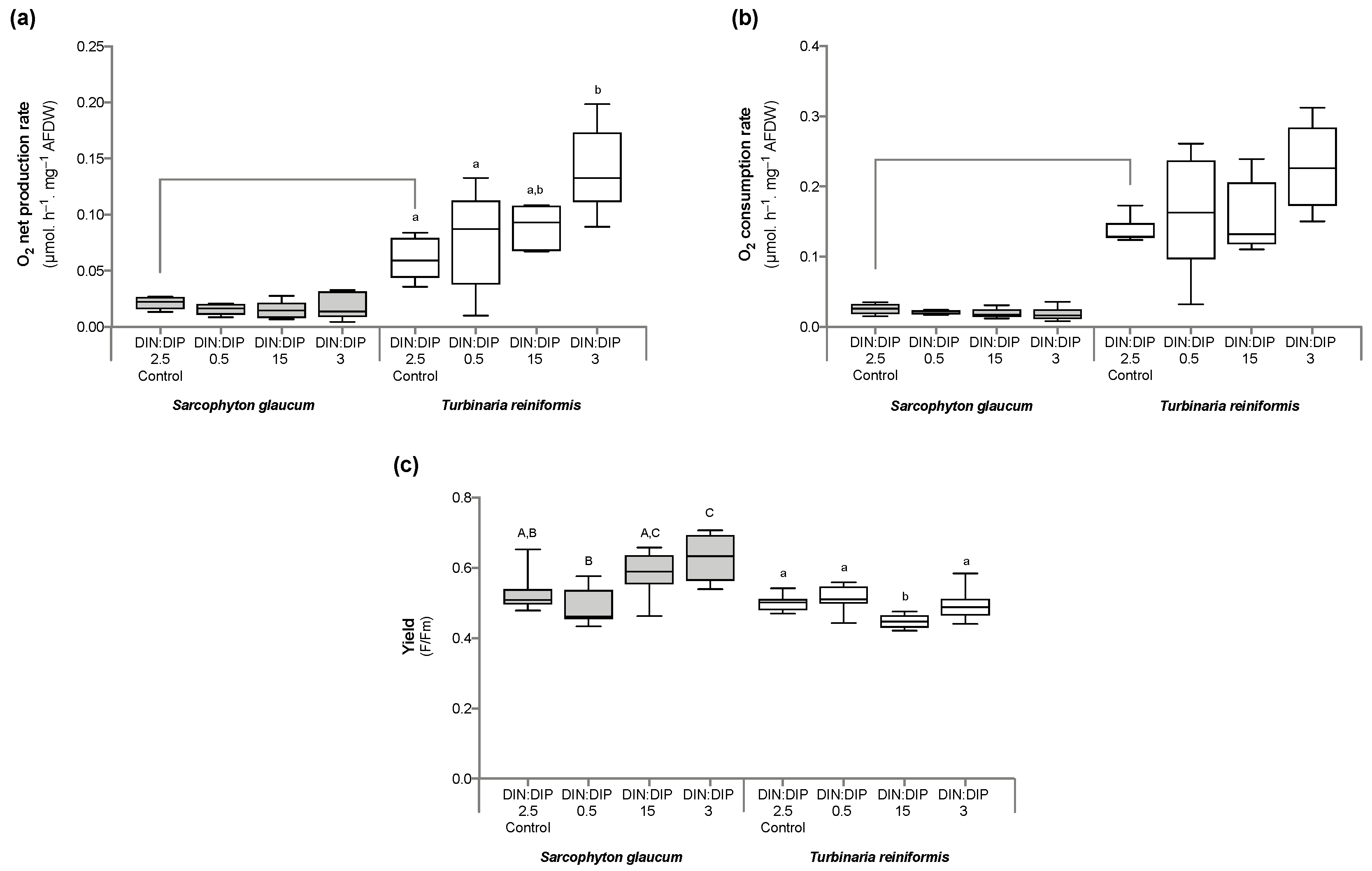 Ijms 24 03119 g004 Ijms 24 03119 g004