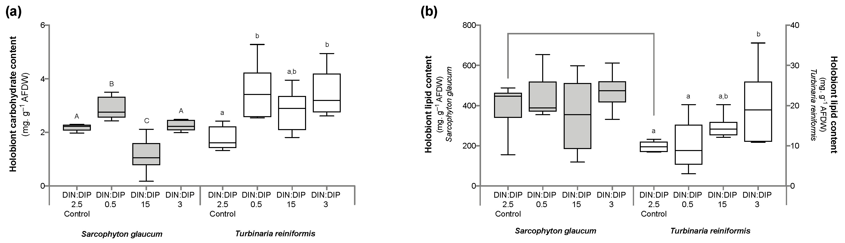 Ijms 24 03119 g005 Ijms 24 03119 g005