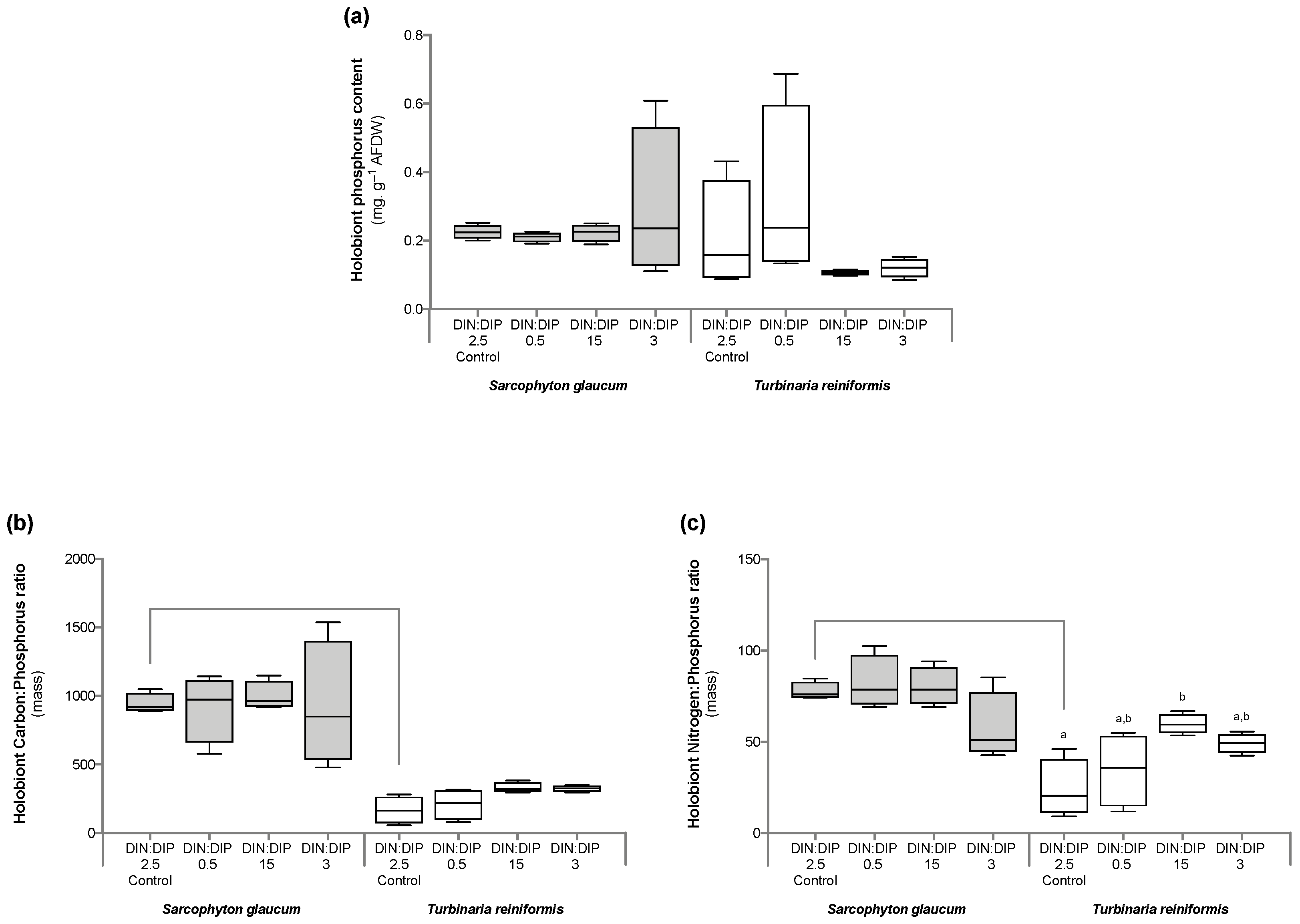 Ijms 24 03119 g007 Ijms 24 03119 g007
