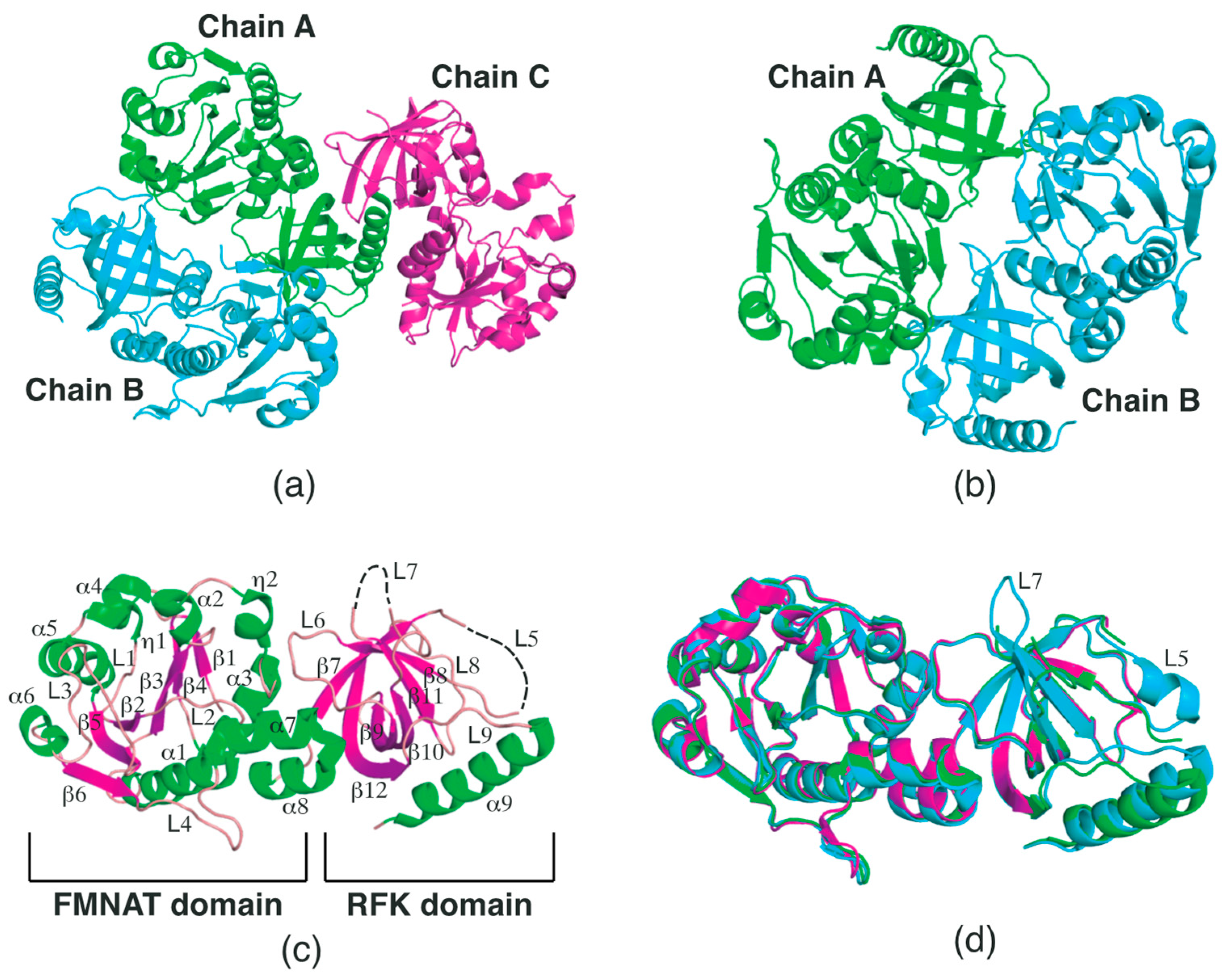 Ijms 24 03121 g001 Ijms 24 03121 g001