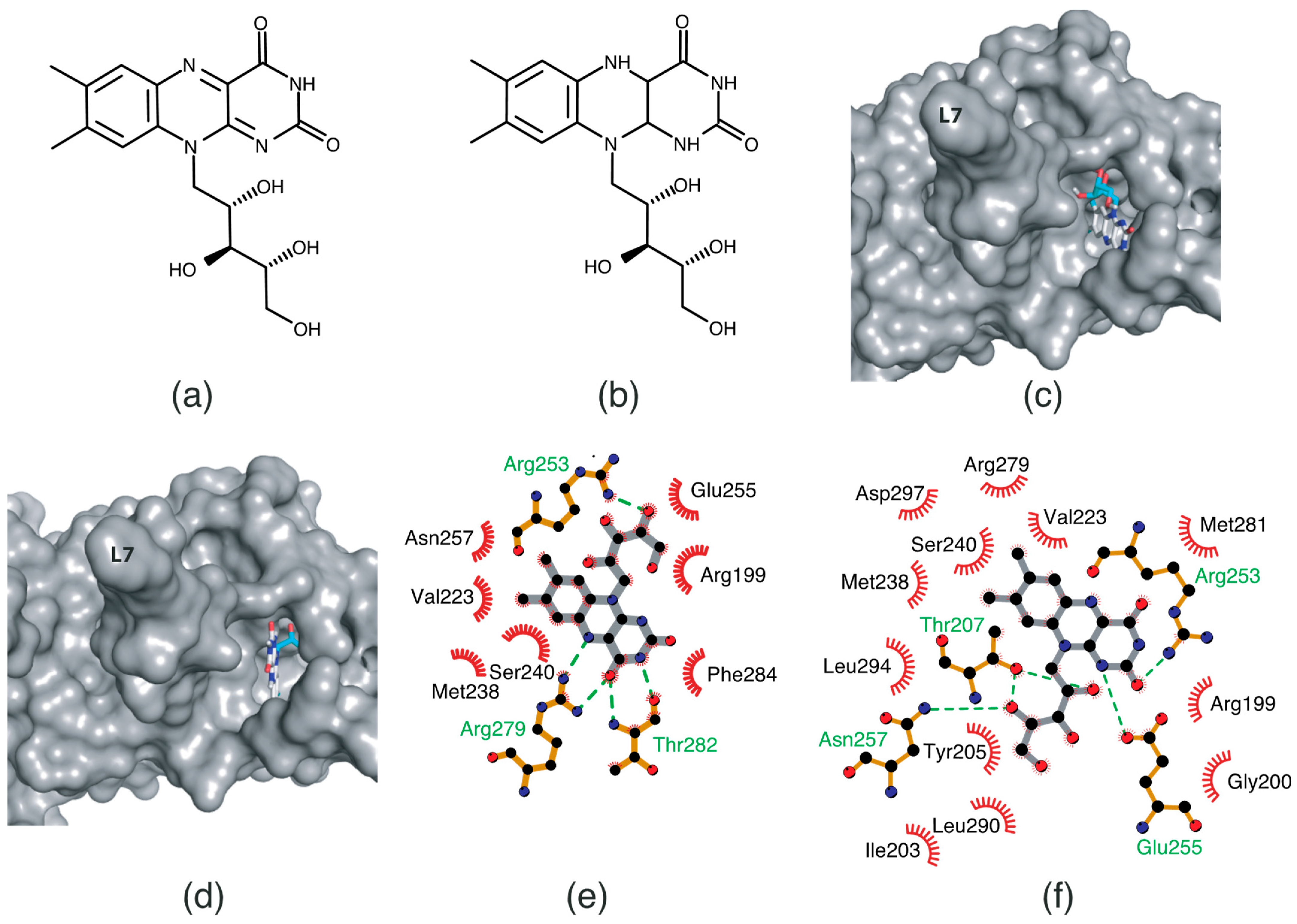Ijms 24 03121 g005 Ijms 24 03121 g005