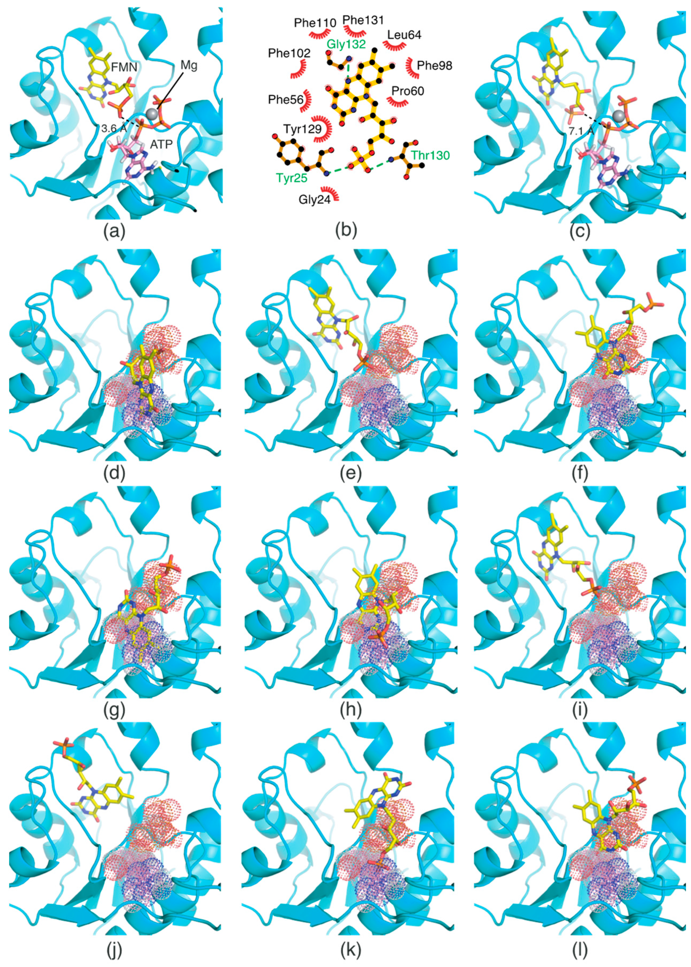 Ijms 24 03121 g006 Ijms 24 03121 g006