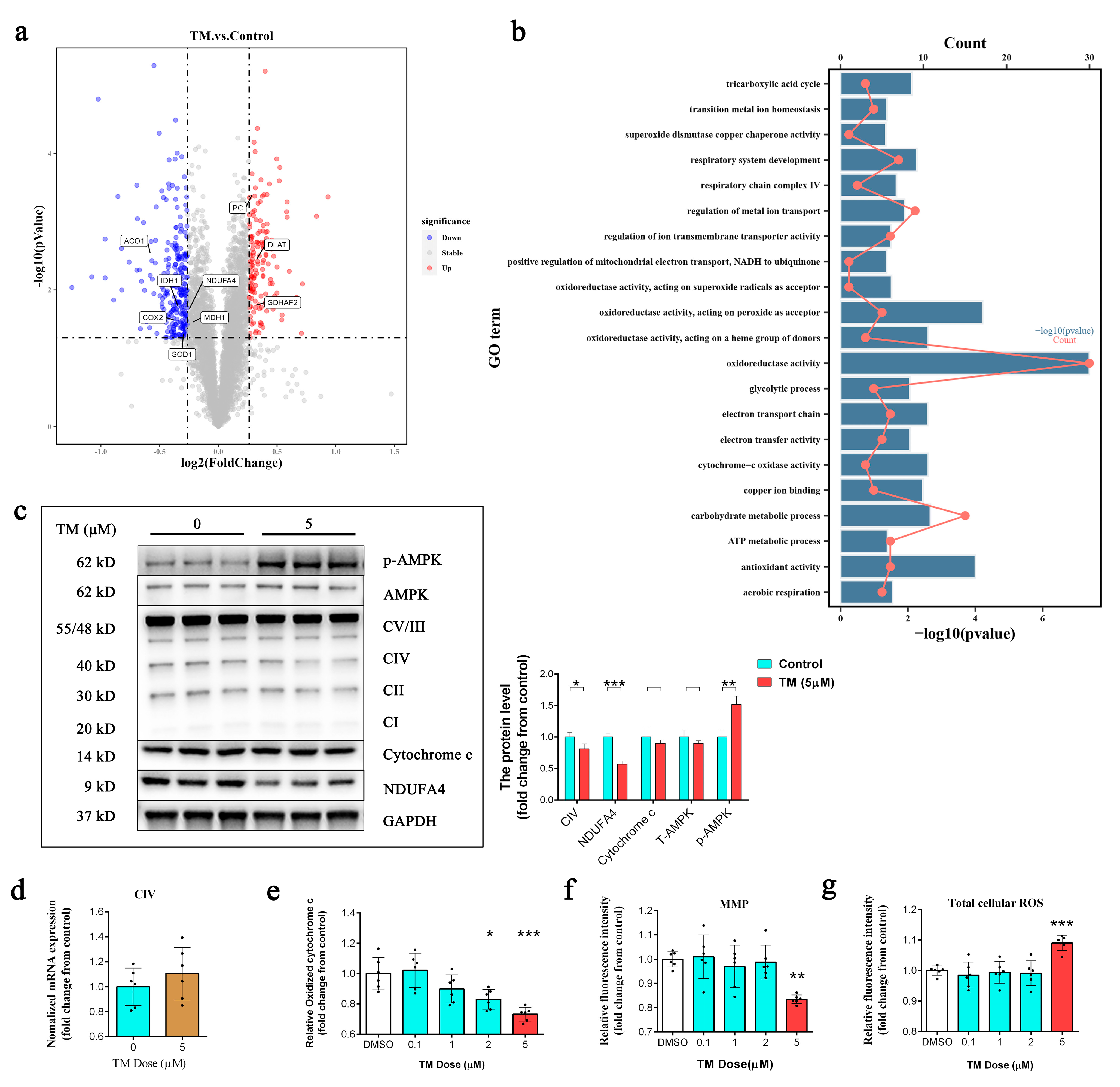 Ijms 24 03123 g002 Ijms 24 03123 g002