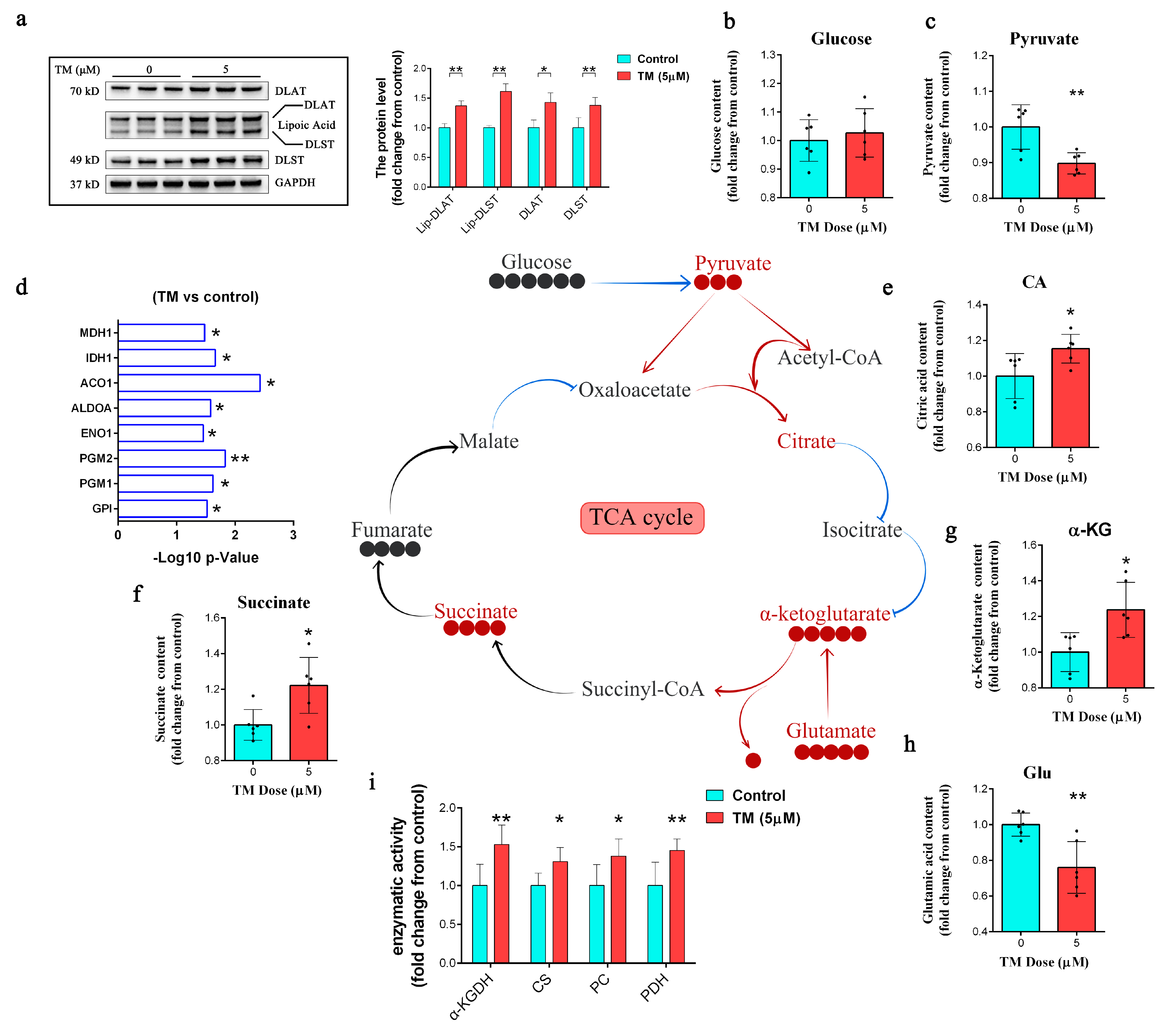 Ijms 24 03123 g003 Ijms 24 03123 g003