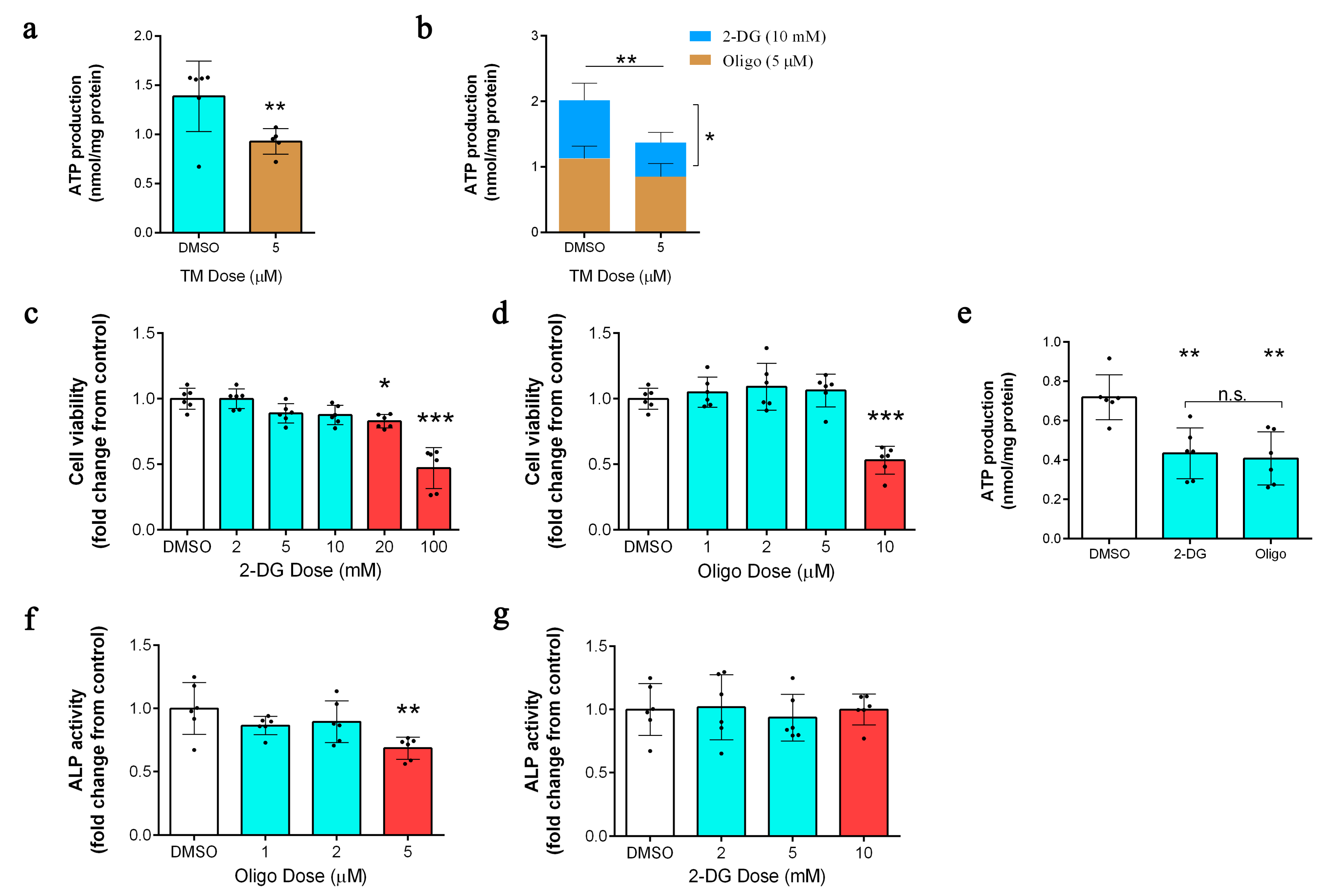 Ijms 24 03123 g004 Ijms 24 03123 g004