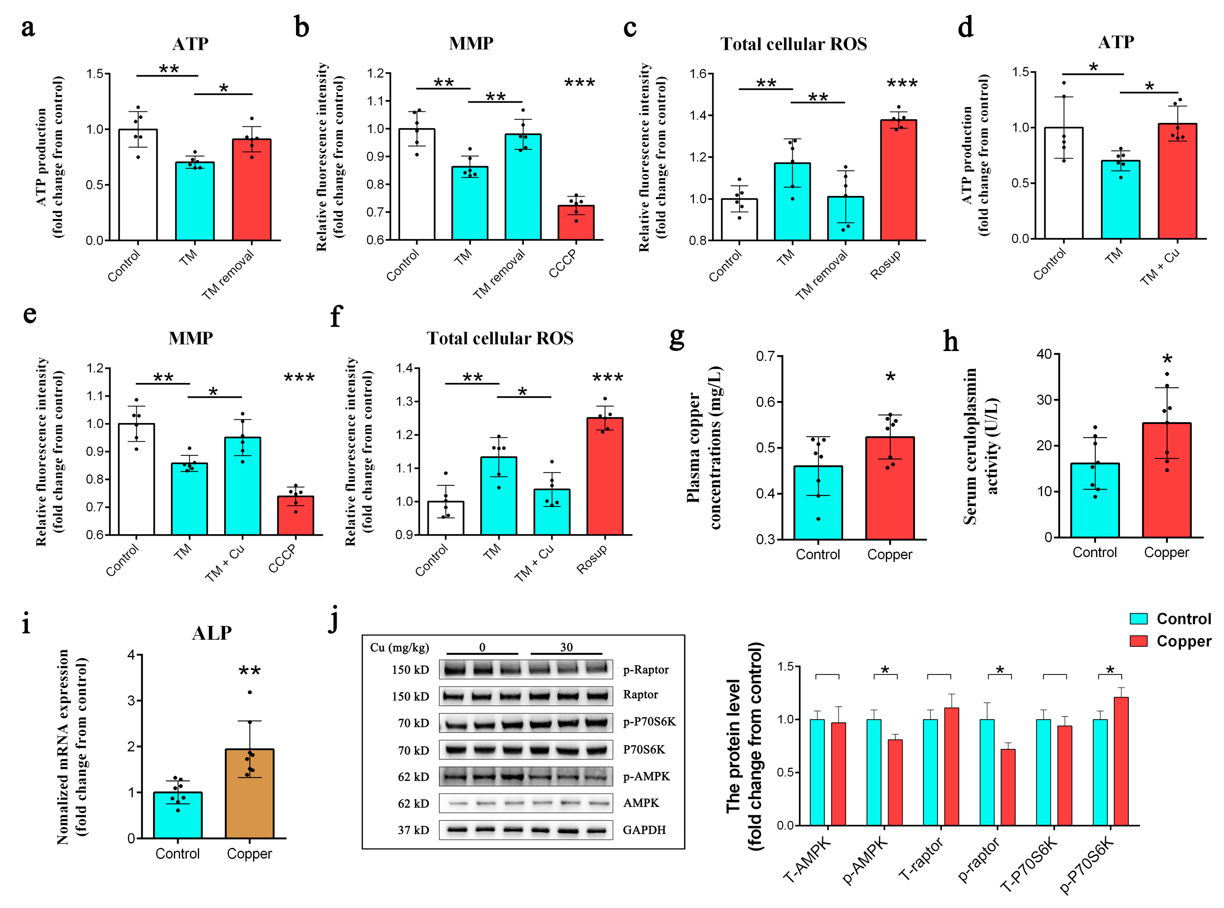 Ijms 24 03123 g006 Ijms 24 03123 g006