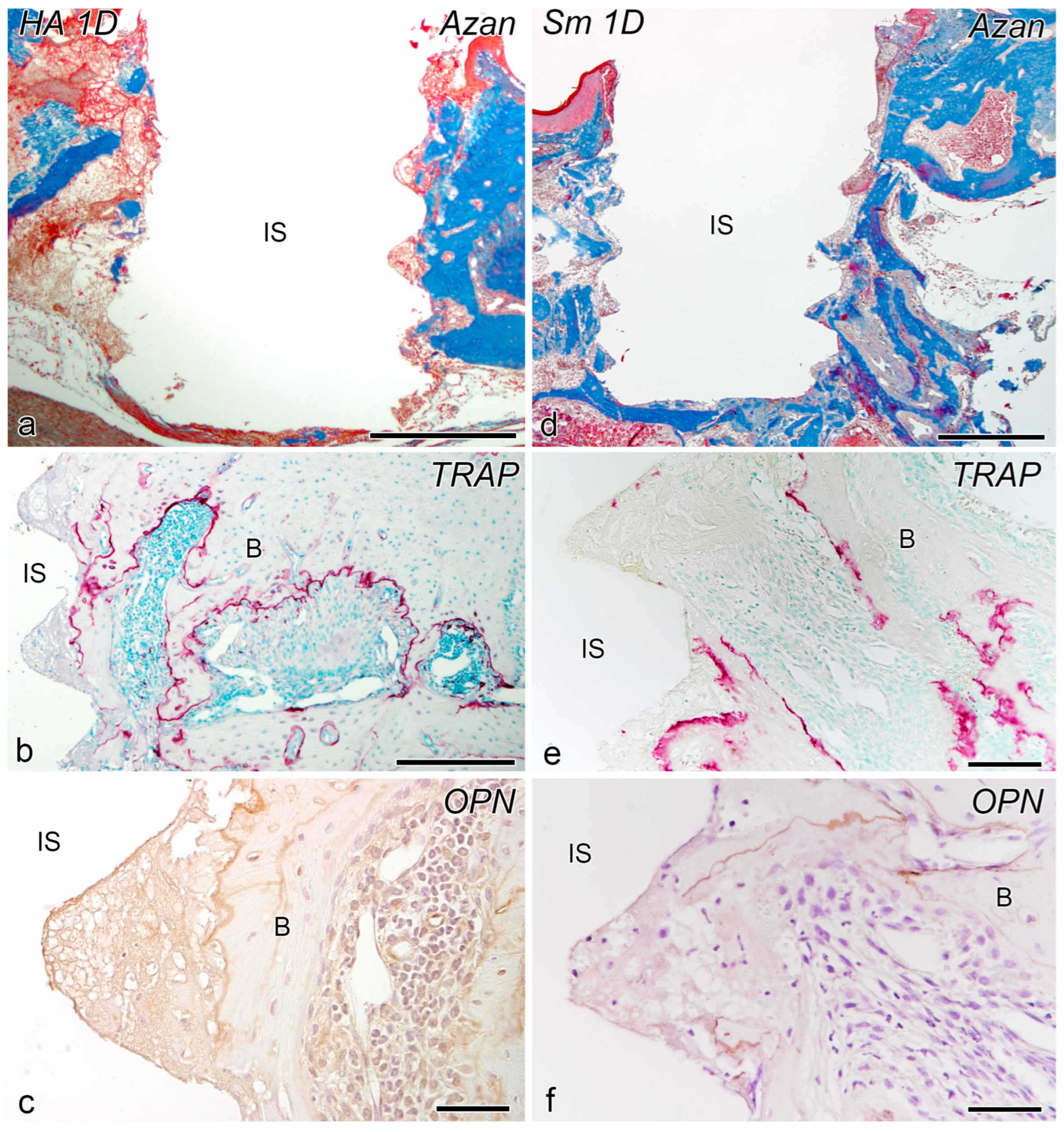 Ijms 24 03124 g001 550